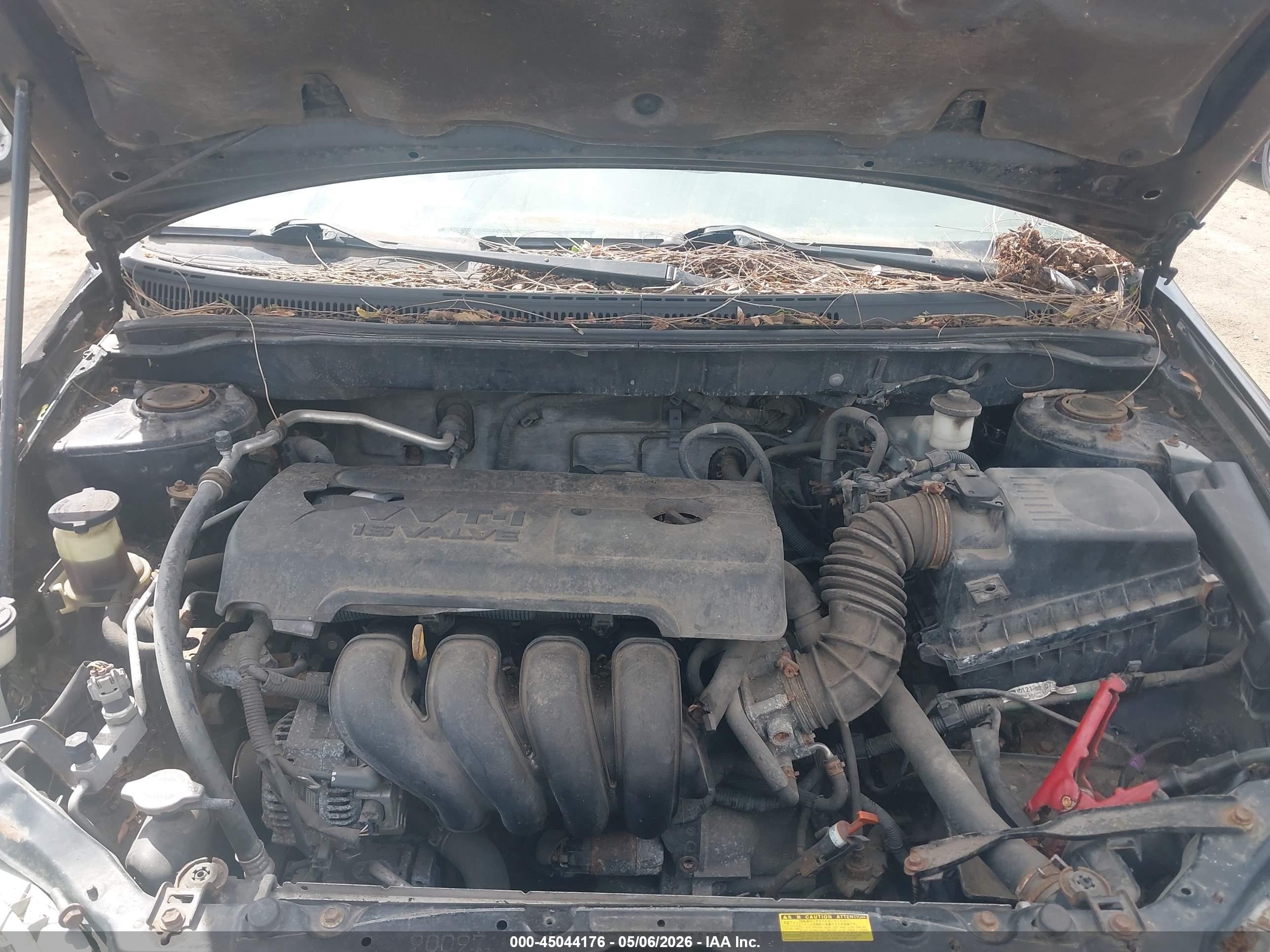 TOYOTA COROLLA image 10