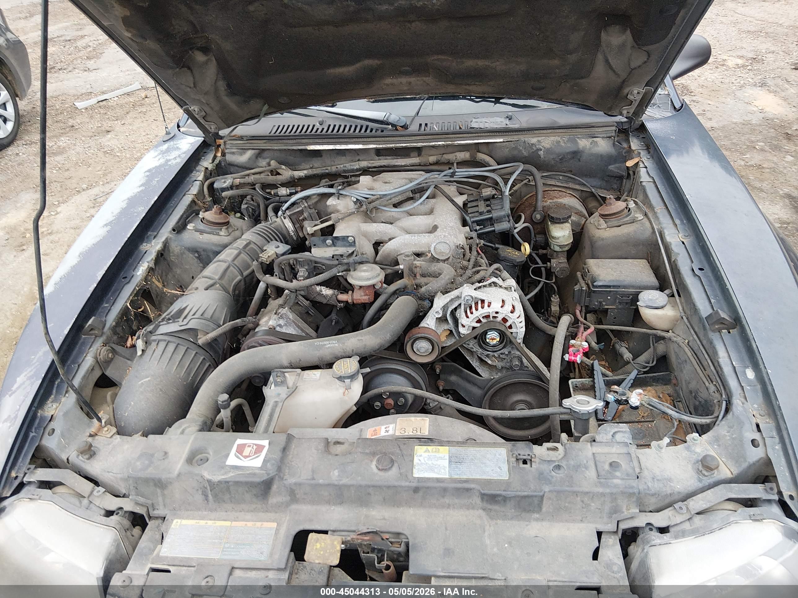 FORD MUSTANG image 10