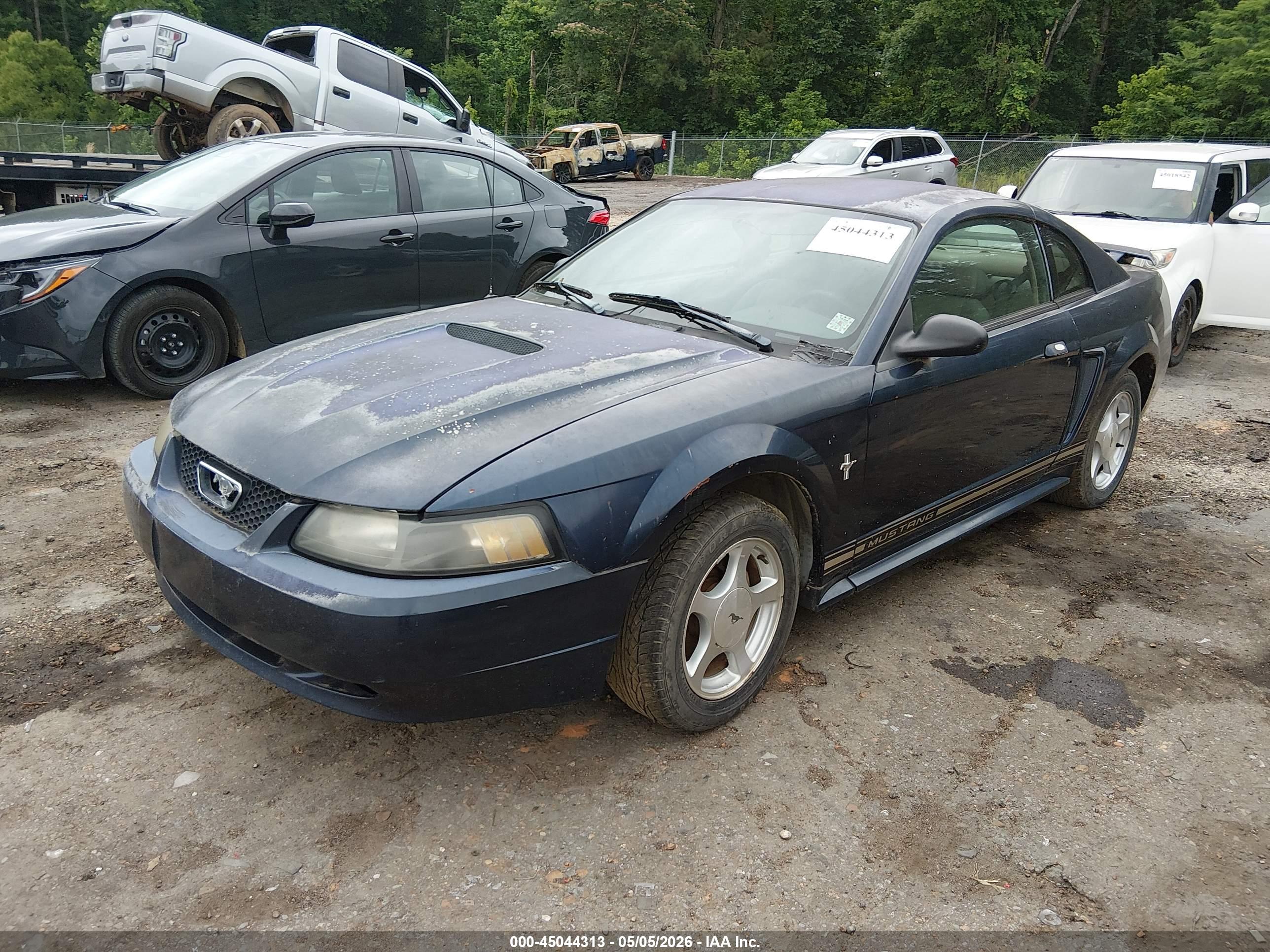 FORD MUSTANG image 2