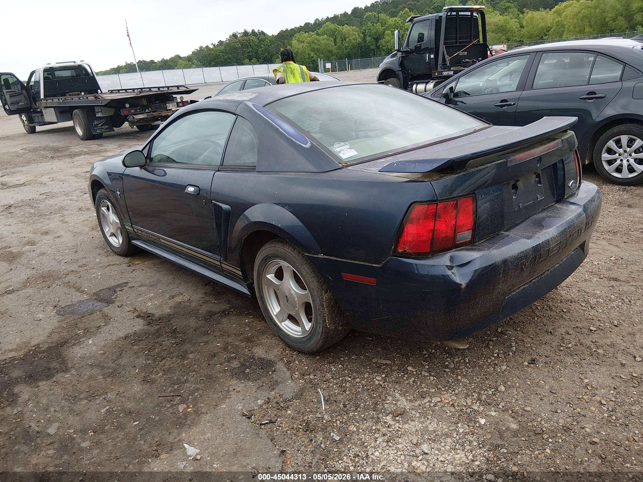 FORD MUSTANG image 3