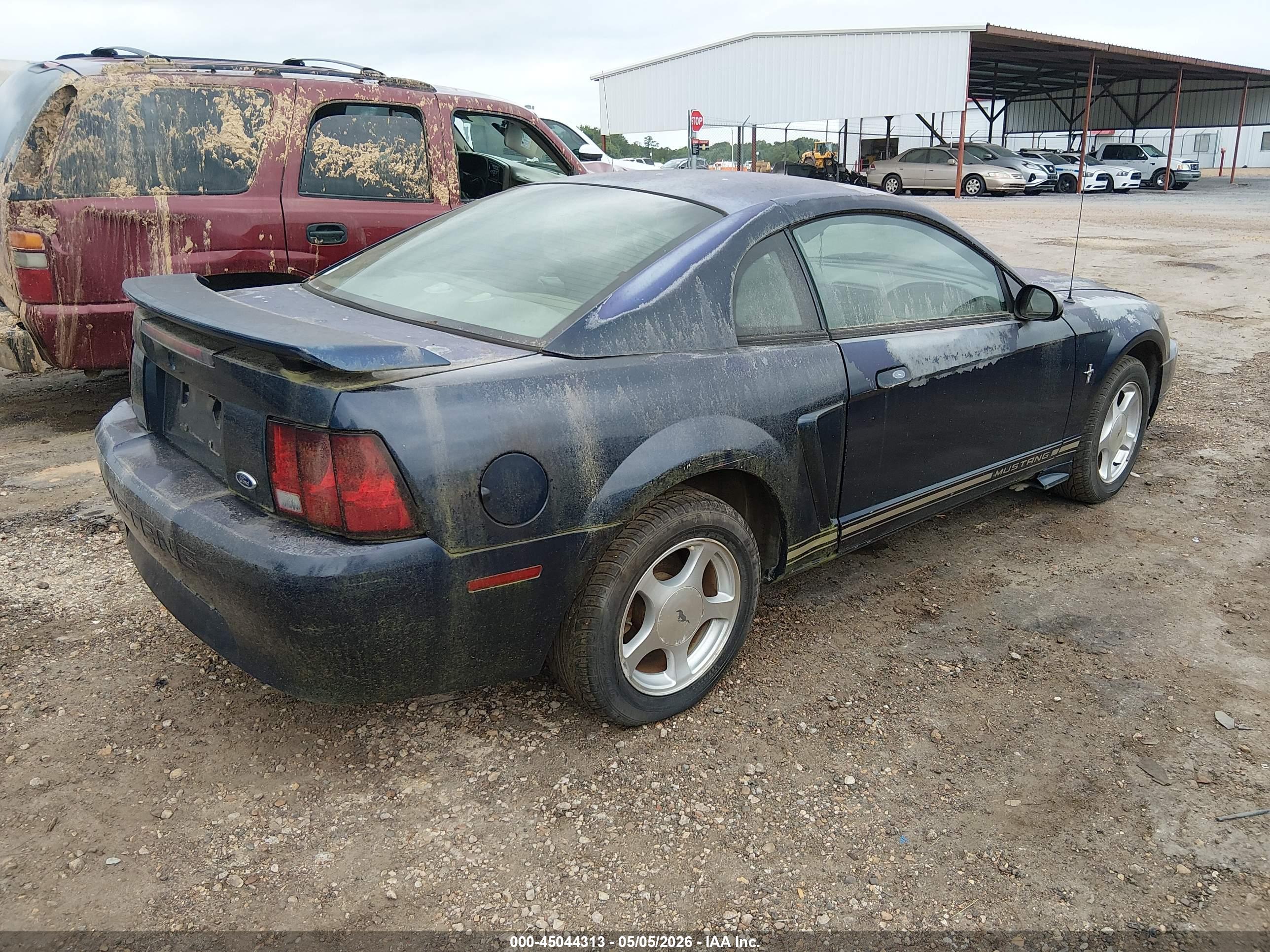 FORD MUSTANG image 4