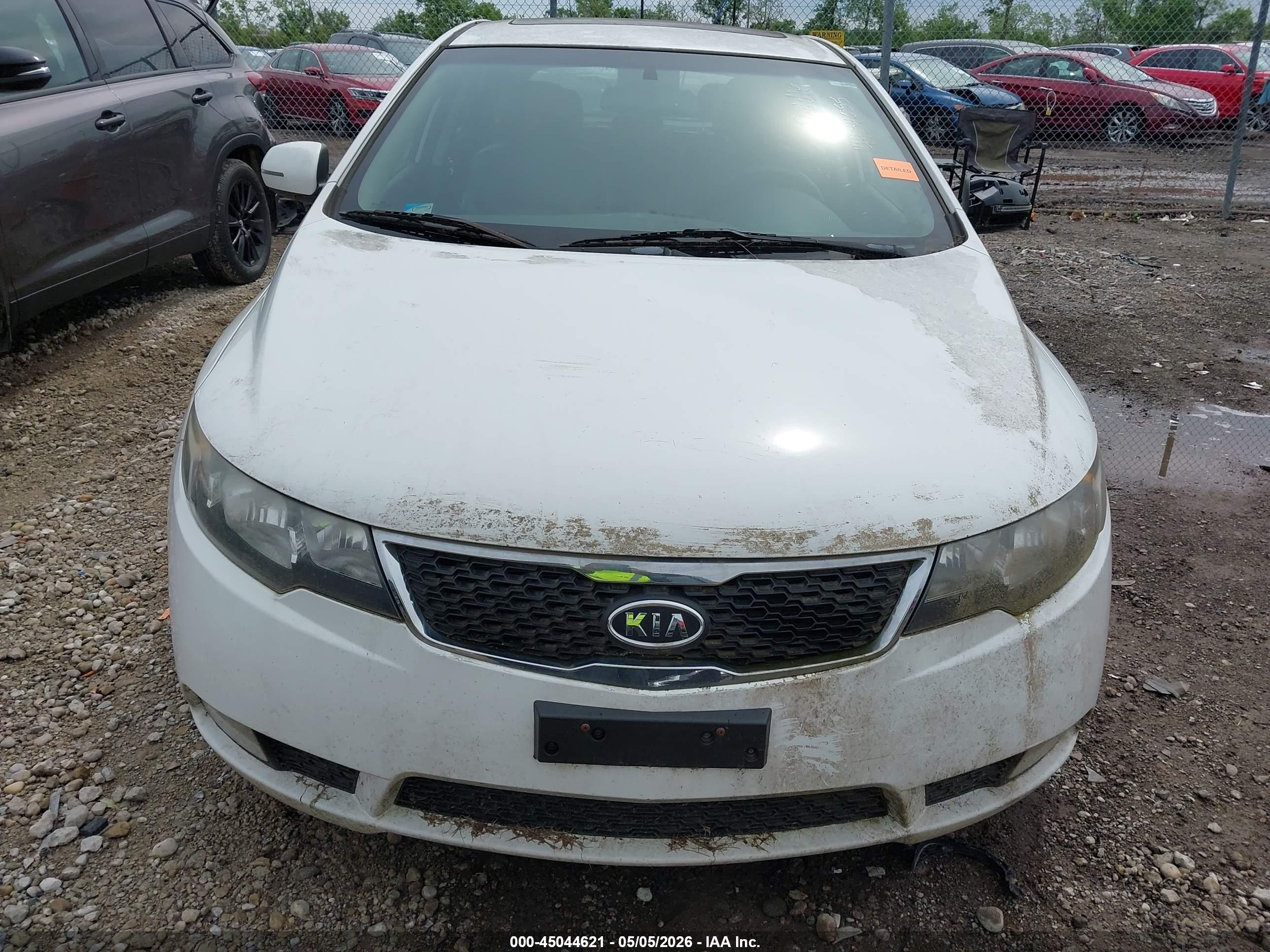 KIA FORTE image 6