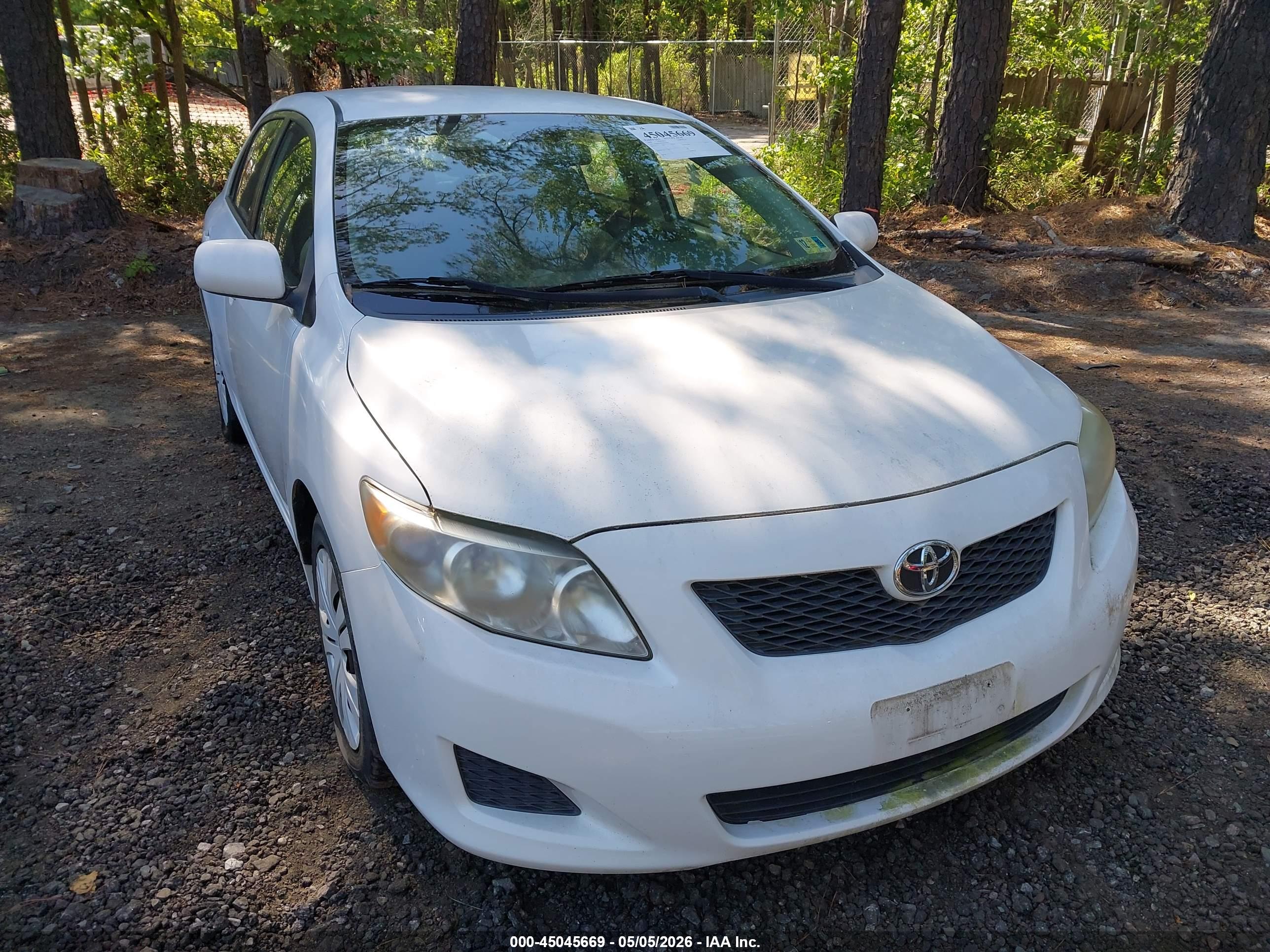 TOYOTA COROLLA image 6
