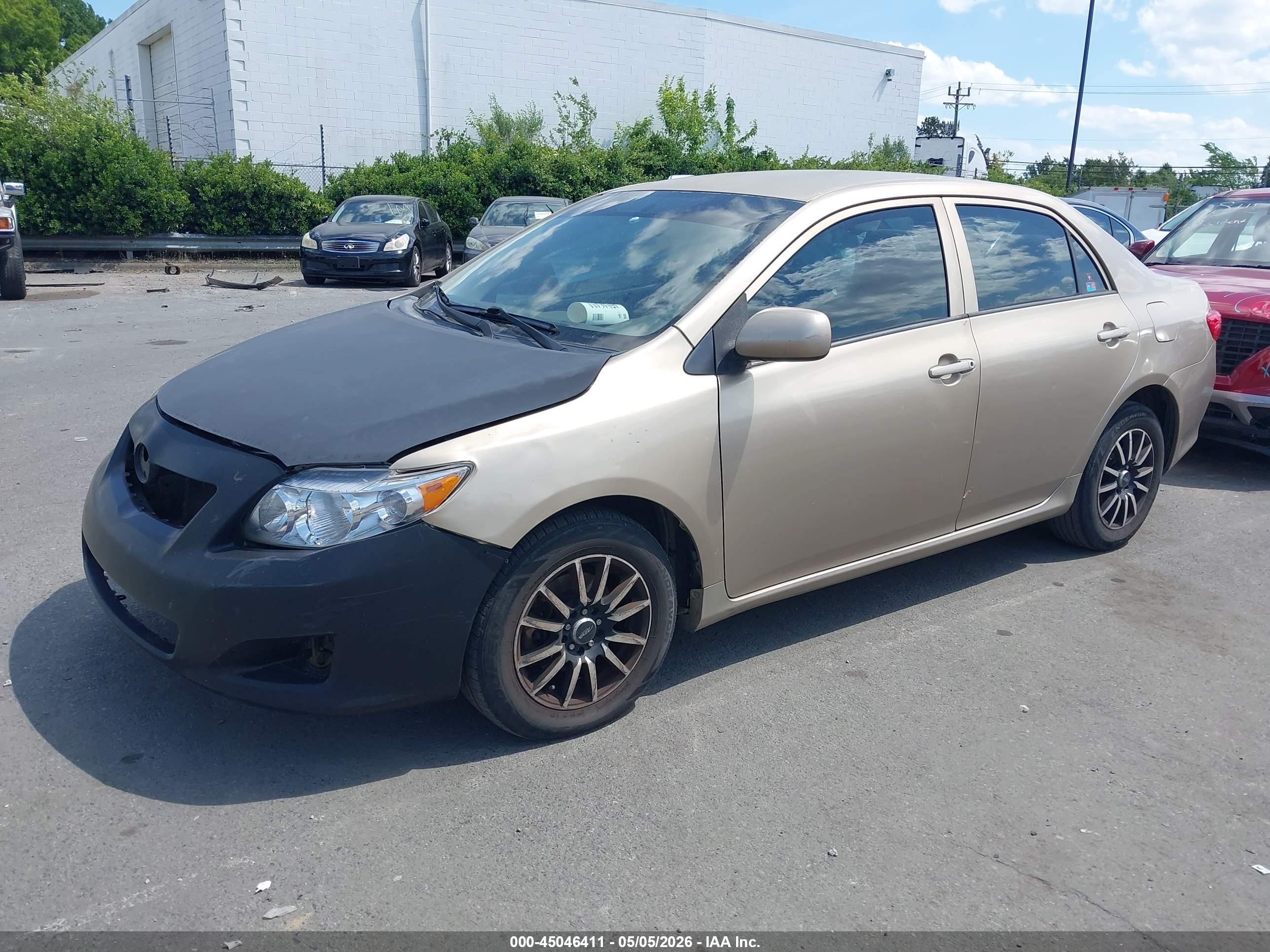 TOYOTA COROLLA image 2