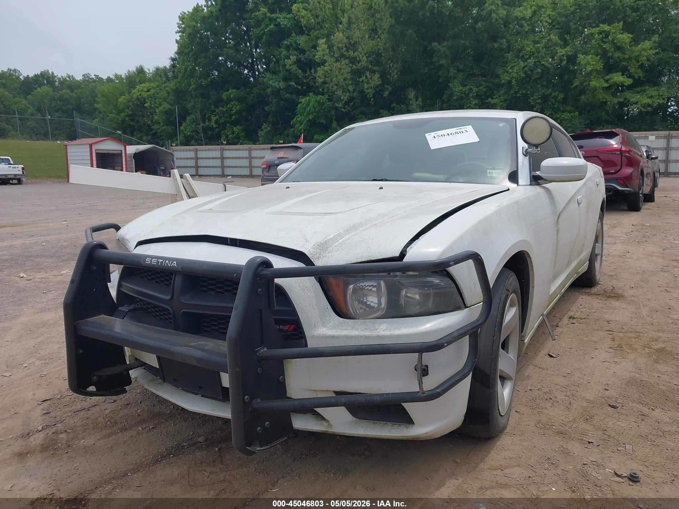 DODGE CHARGER image 2
