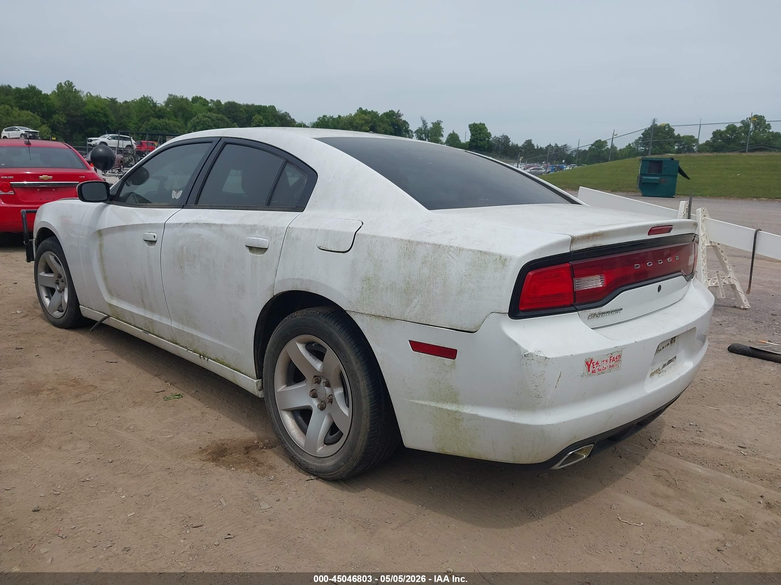 DODGE CHARGER image 3