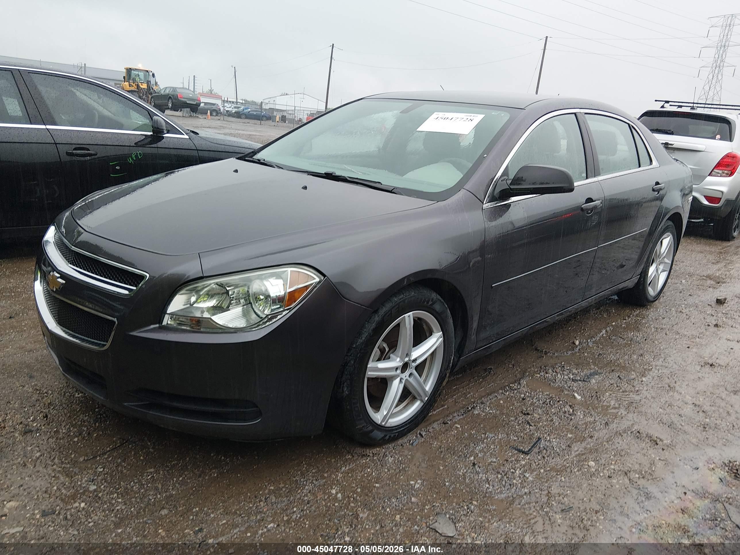 CHEVROLET MALIBU image 2