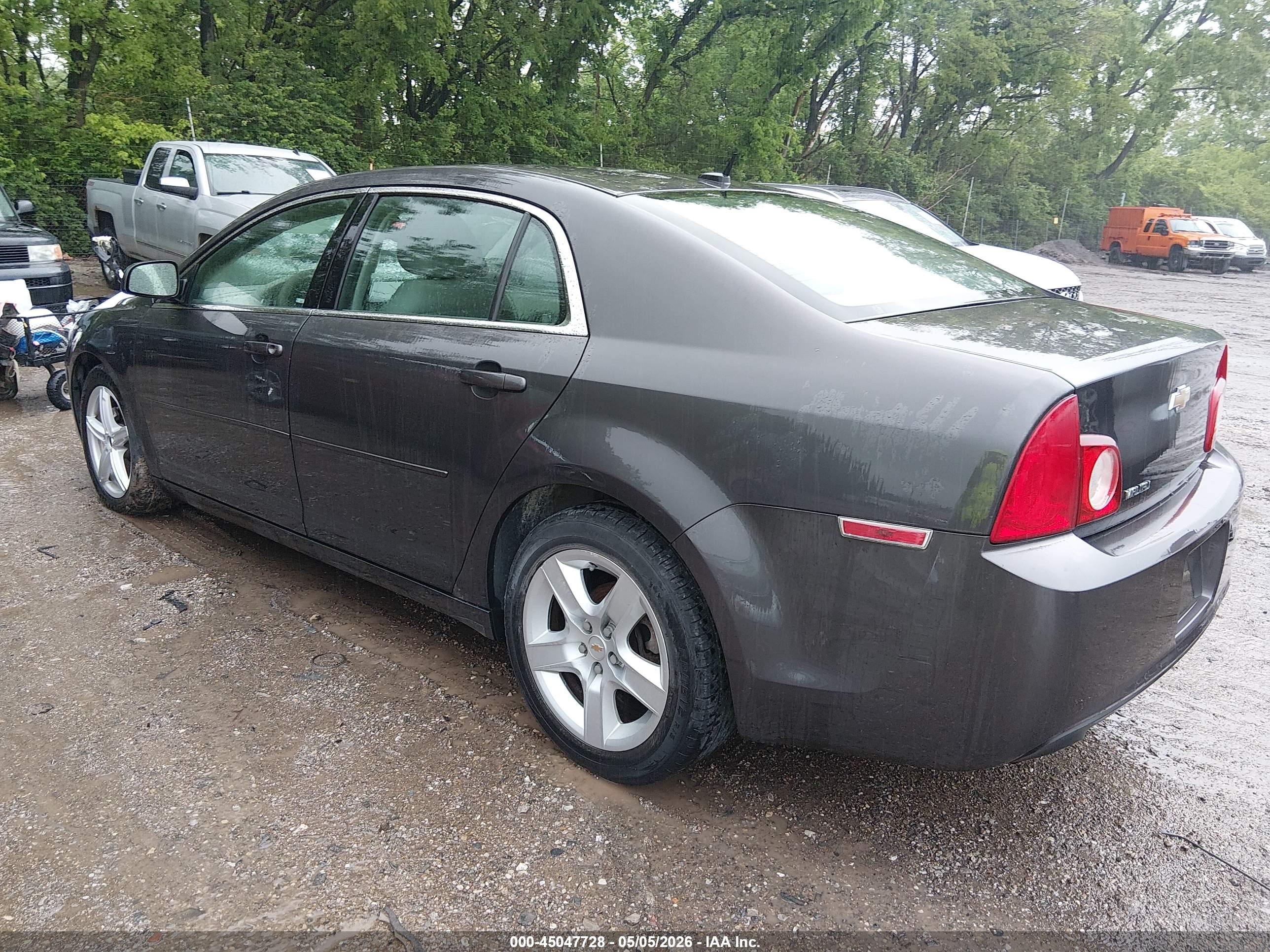 CHEVROLET MALIBU image 3