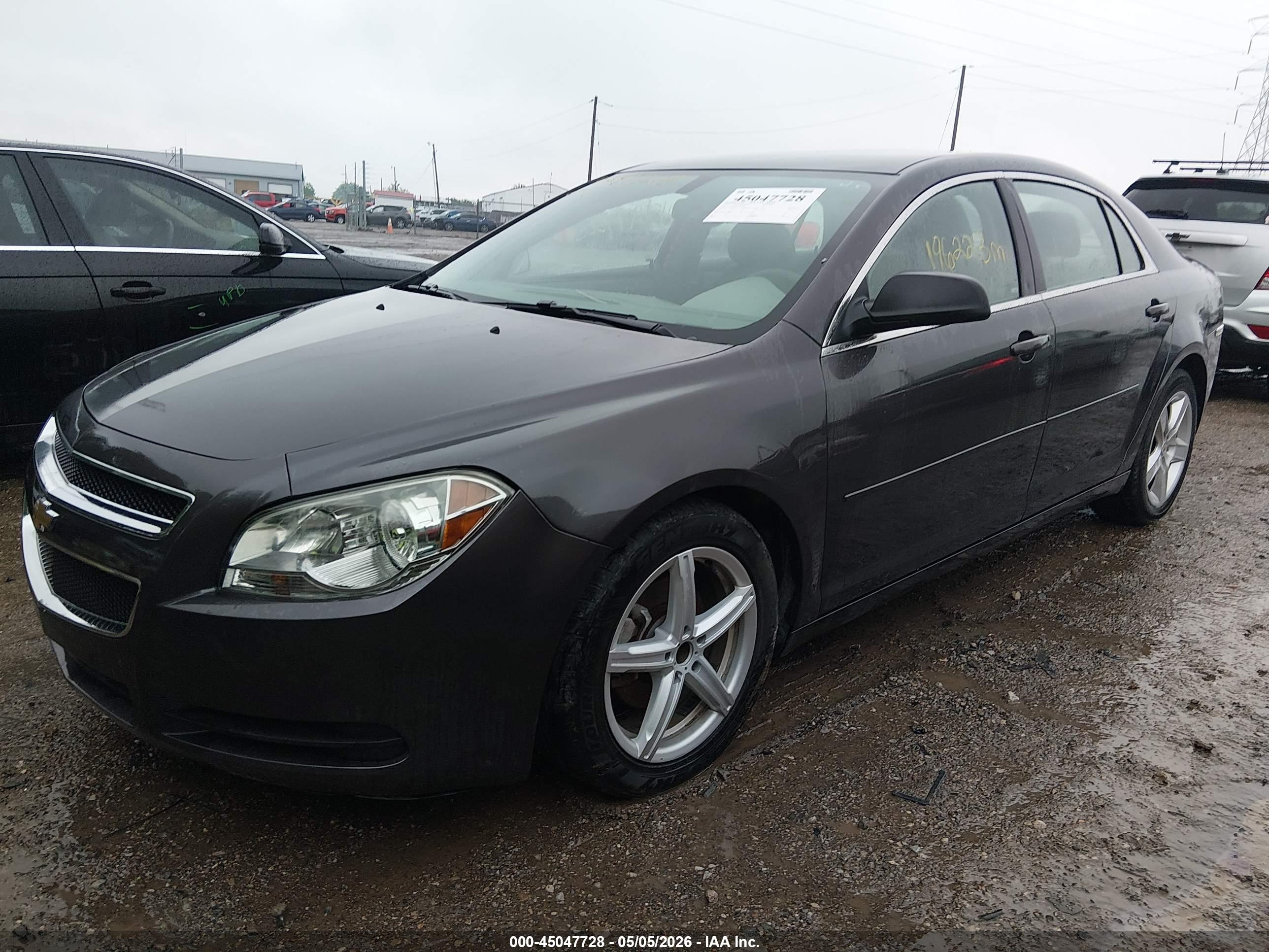 CHEVROLET MALIBU image 6
