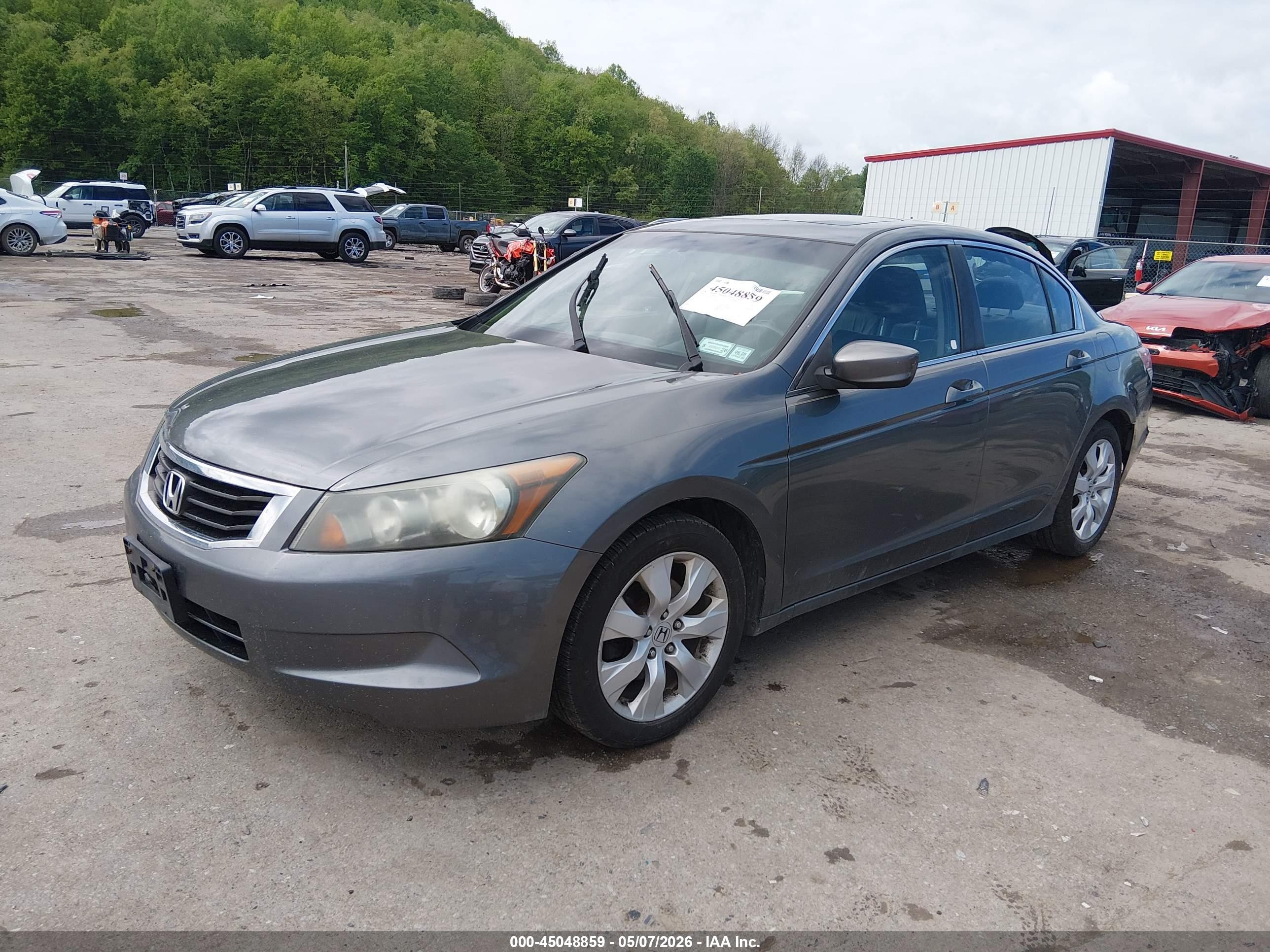 HONDA ACCORD image 2