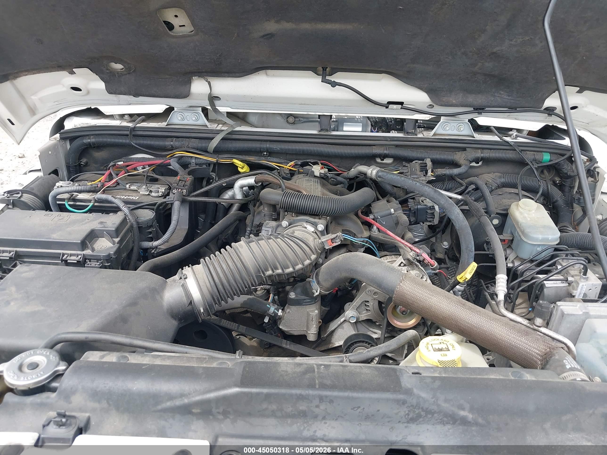 JEEP WRANGLER image 10