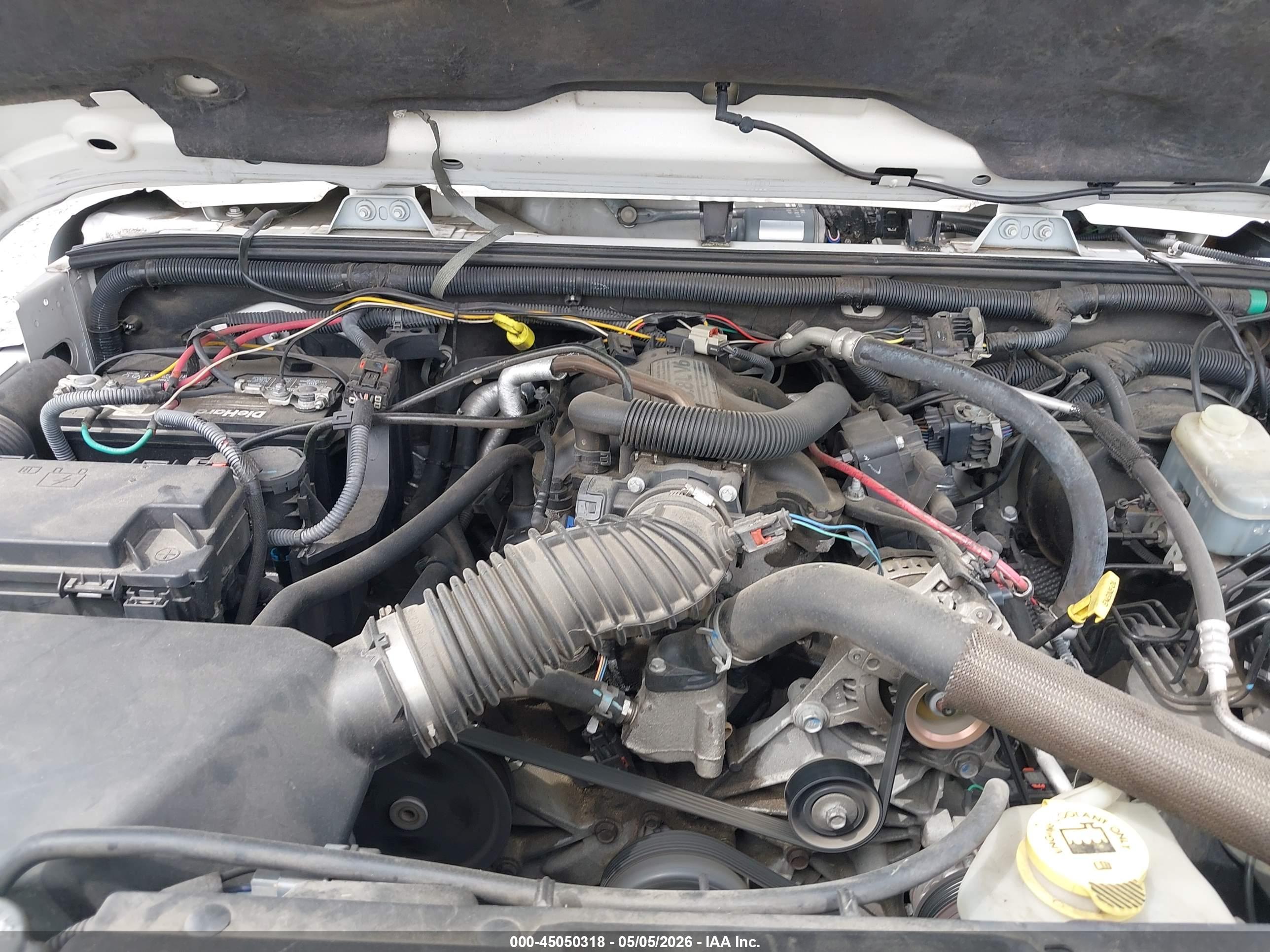JEEP WRANGLER image 6