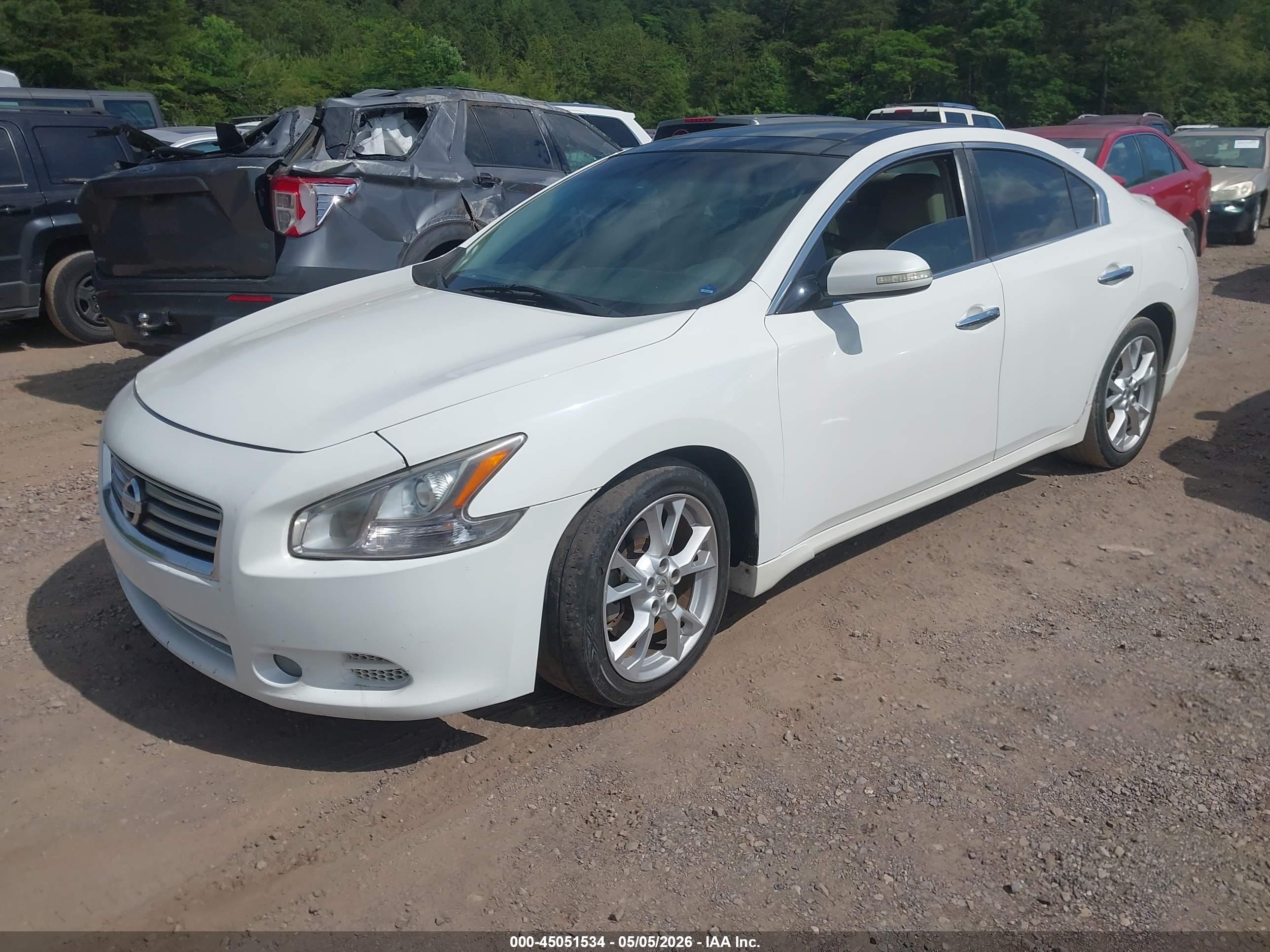 NISSAN MAXIMA image 2