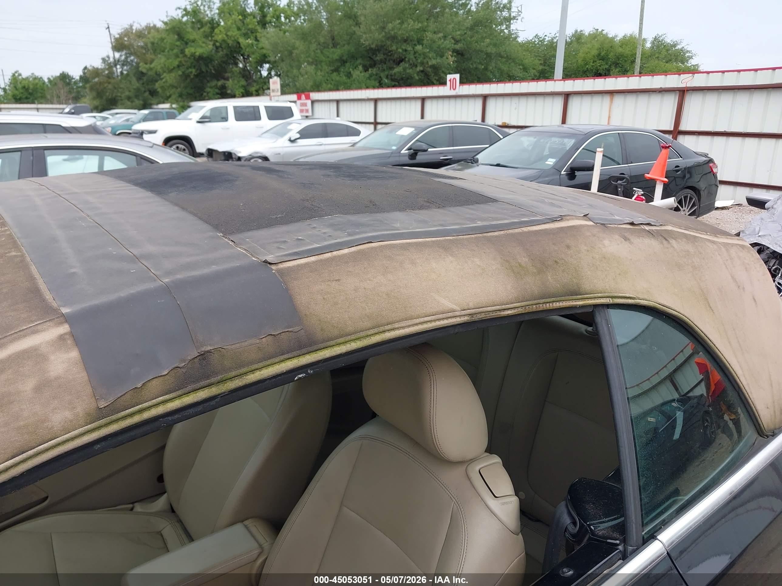 VOLKSWAGEN BEETLE image 6