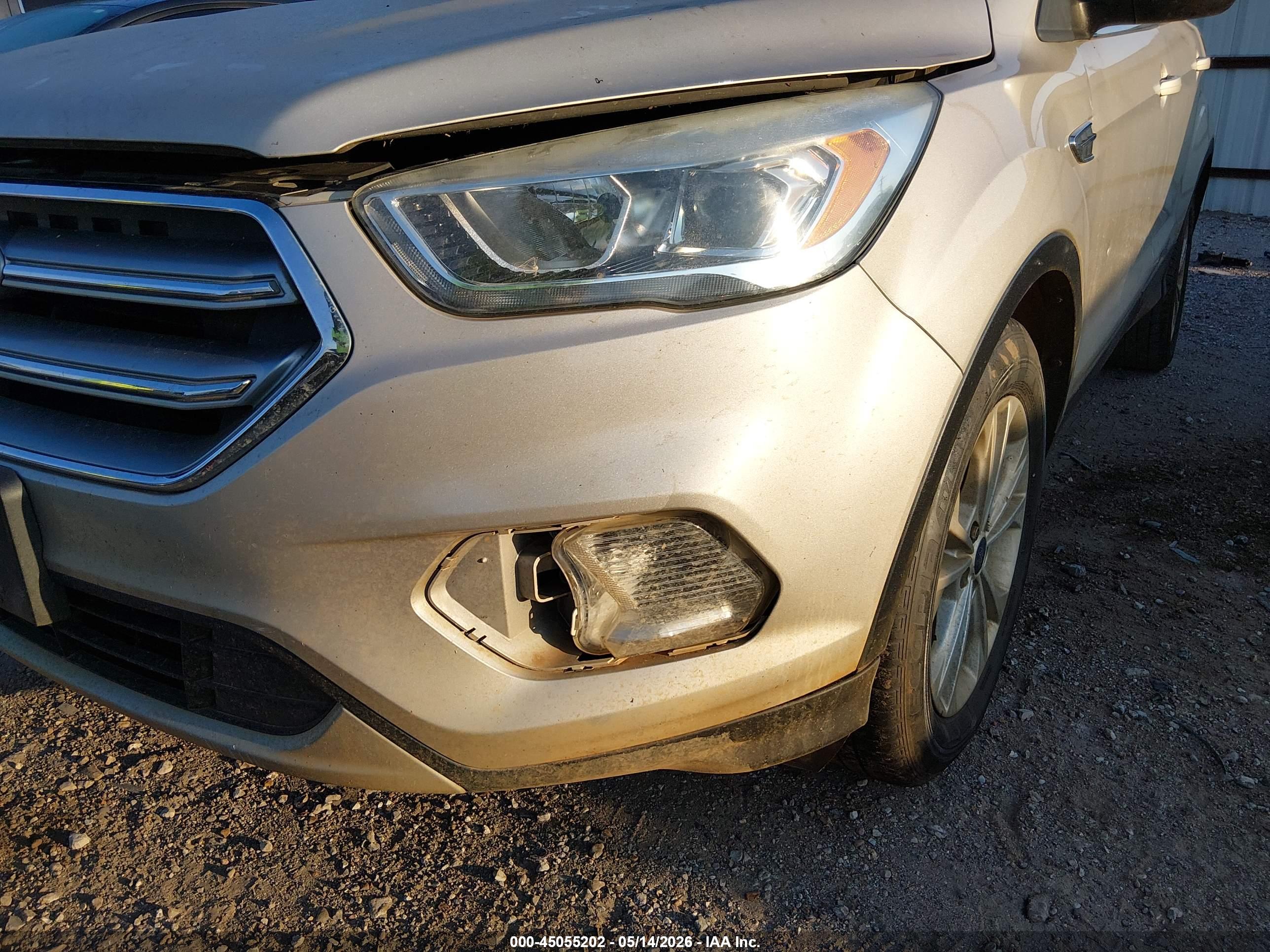 FORD ESCAPE image 6