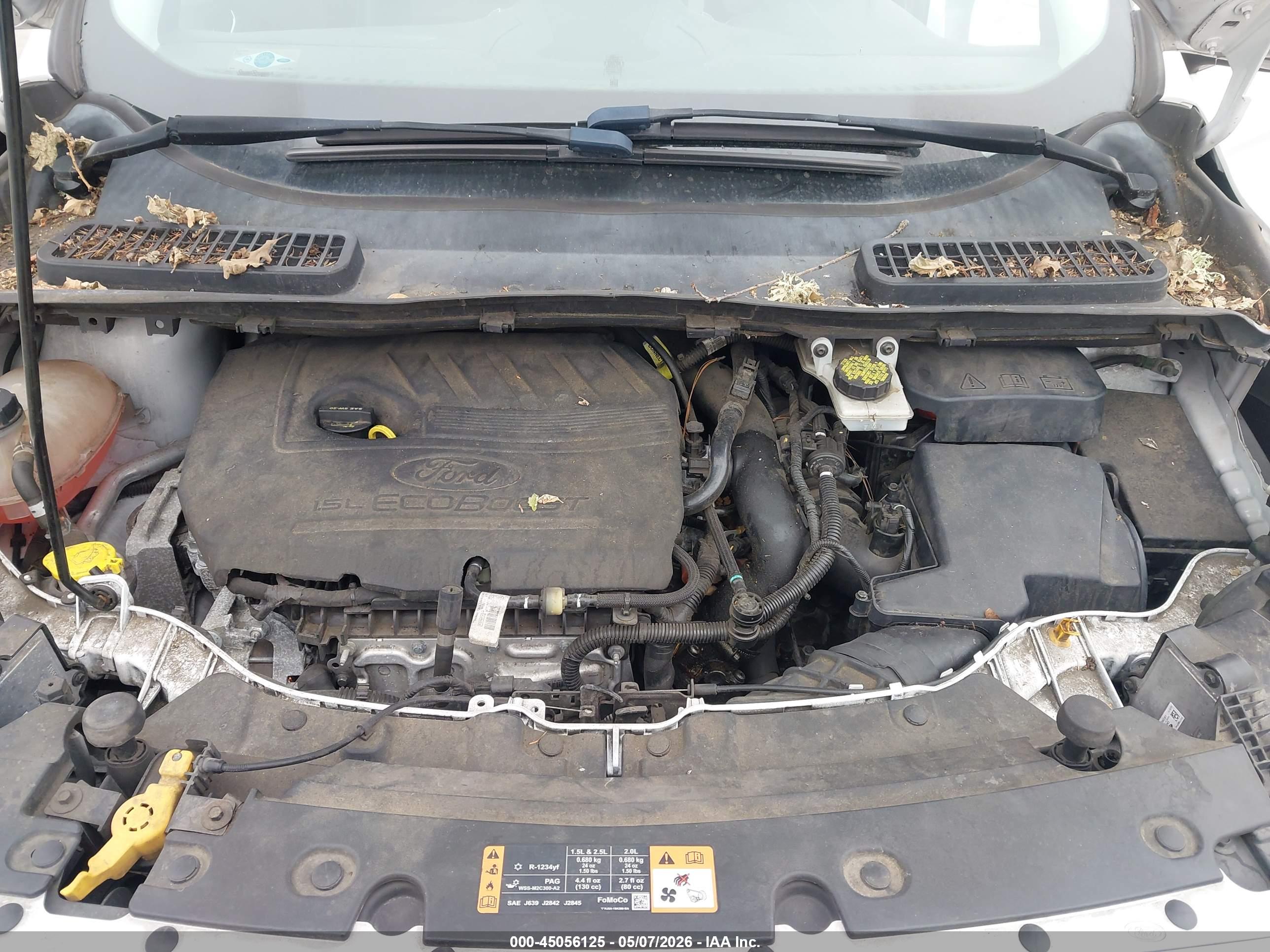 FORD ESCAPE image 10