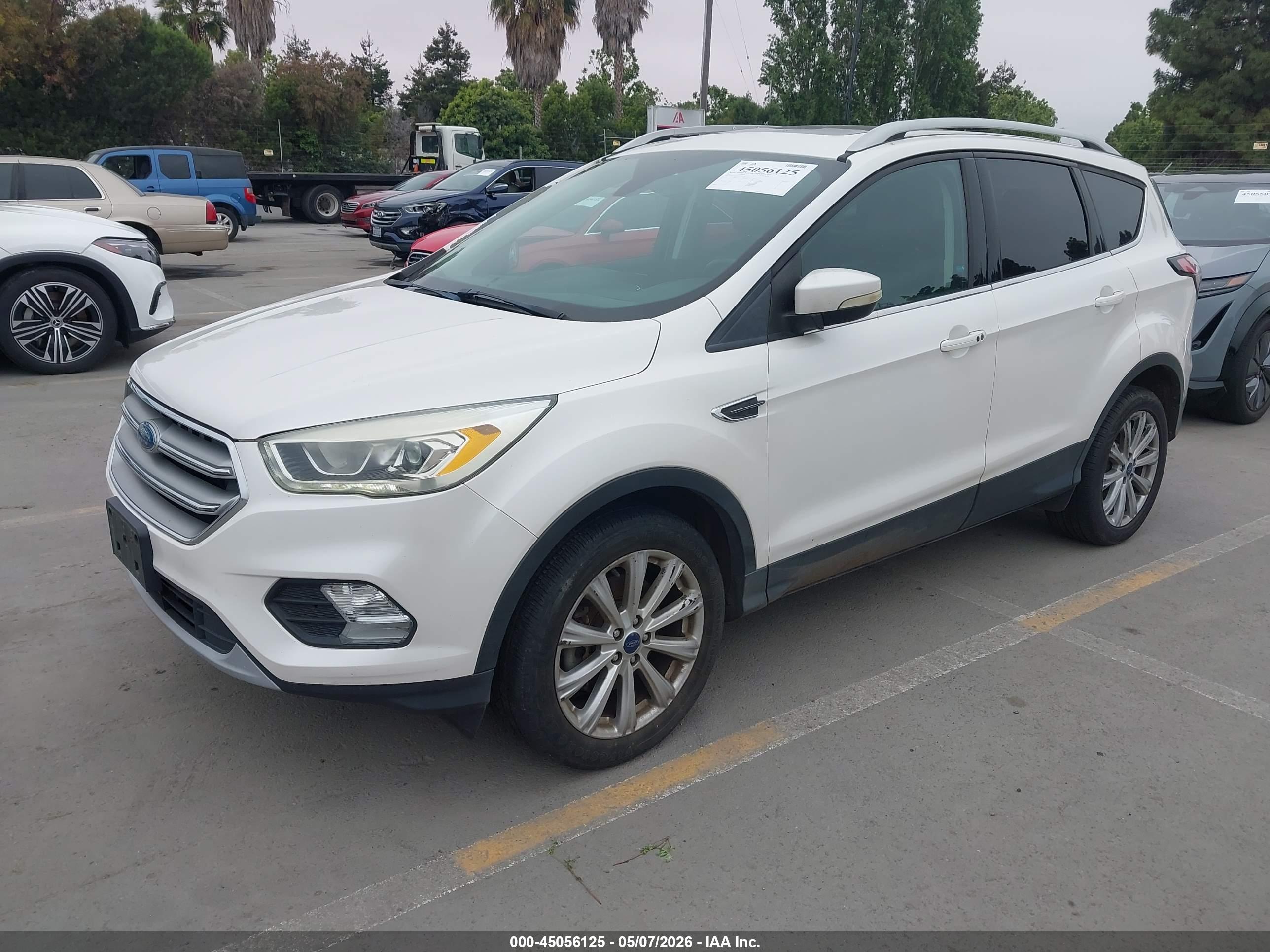 FORD ESCAPE image 2
