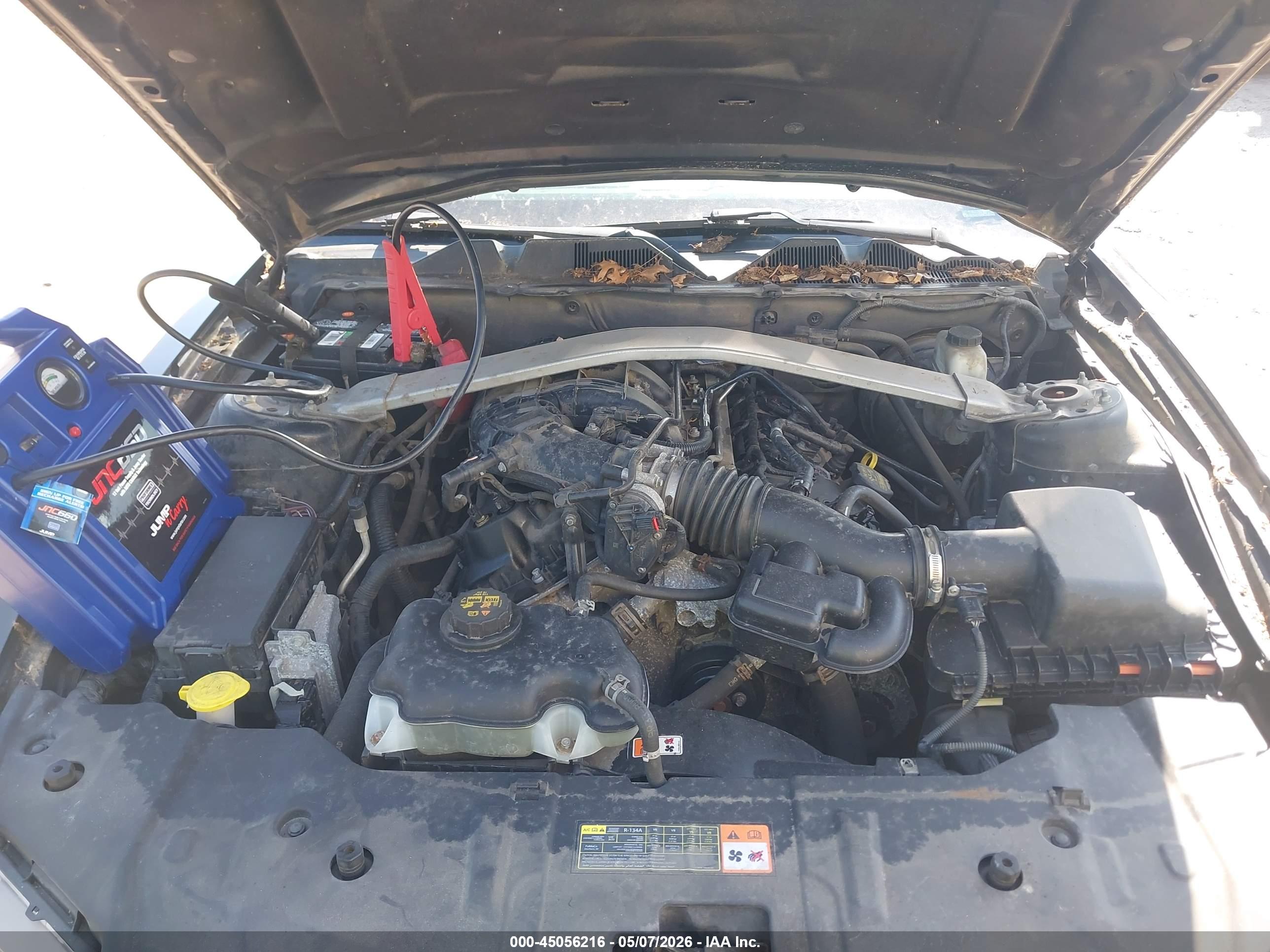 FORD MUSTANG image 10