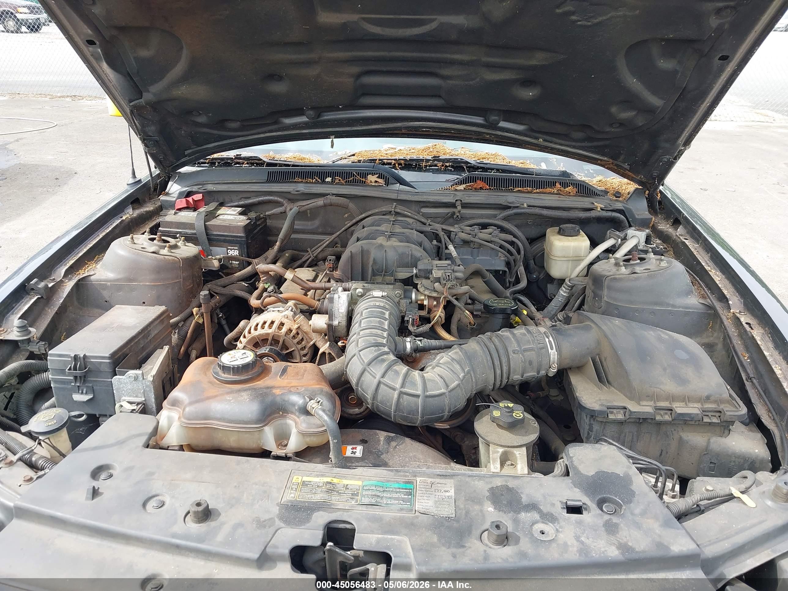 FORD MUSTANG image 10