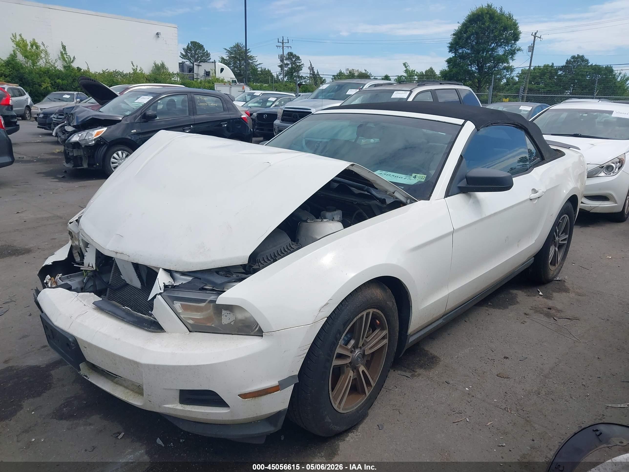 FORD MUSTANG image 2