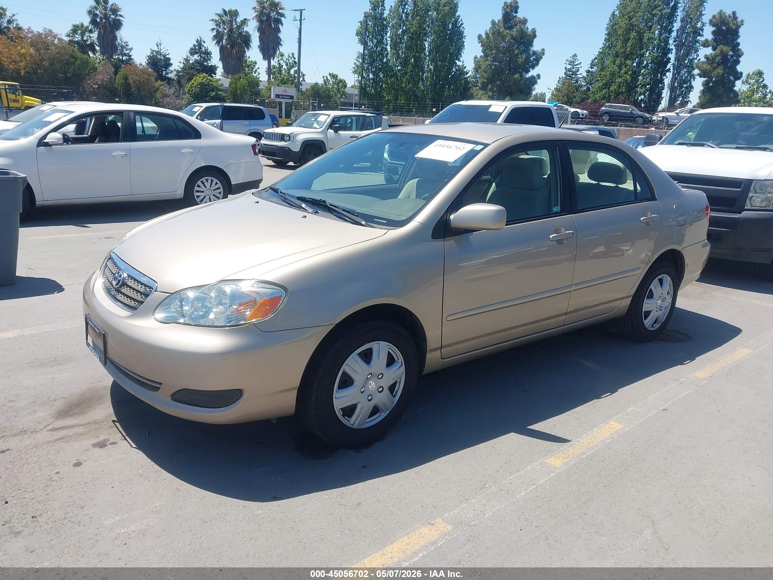 TOYOTA COROLLA image 2