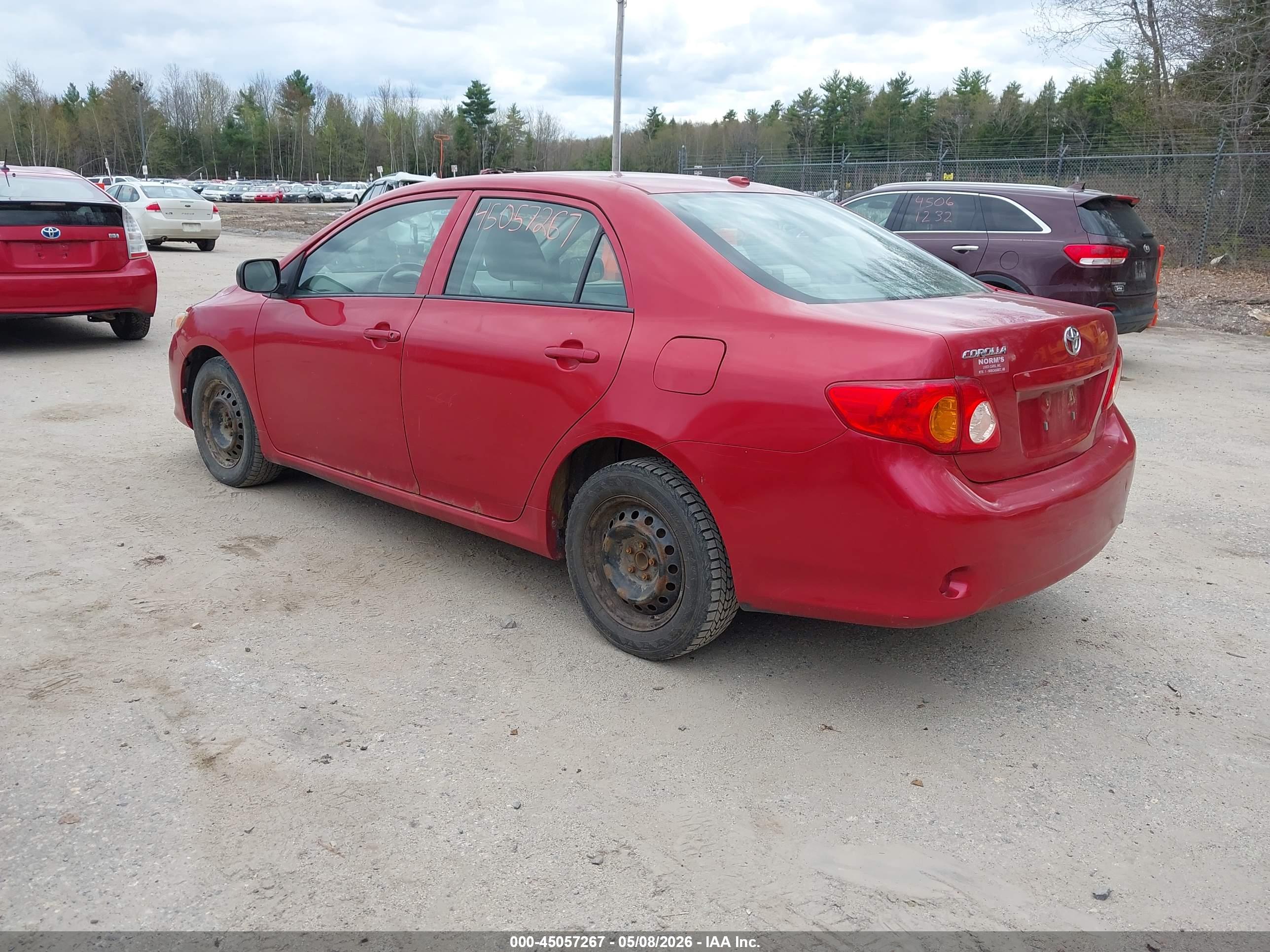 TOYOTA COROLLA image 3