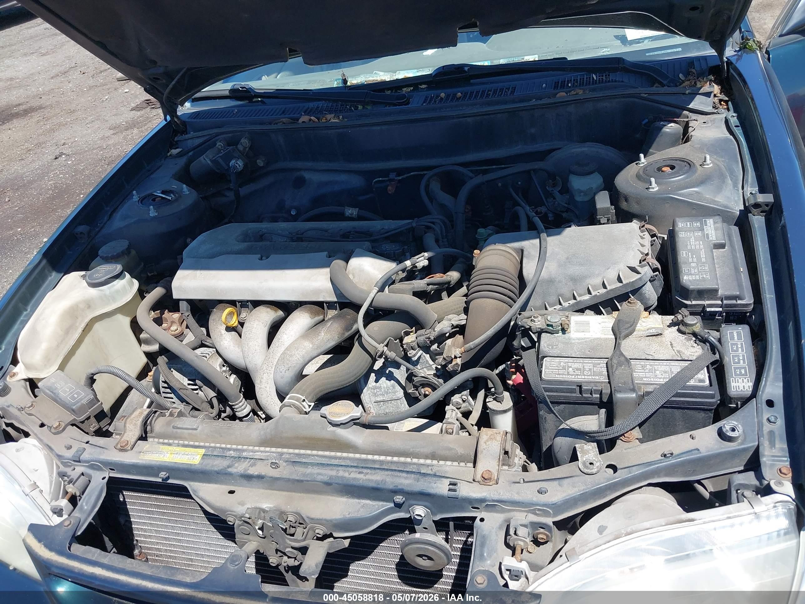 TOYOTA COROLLA image 10