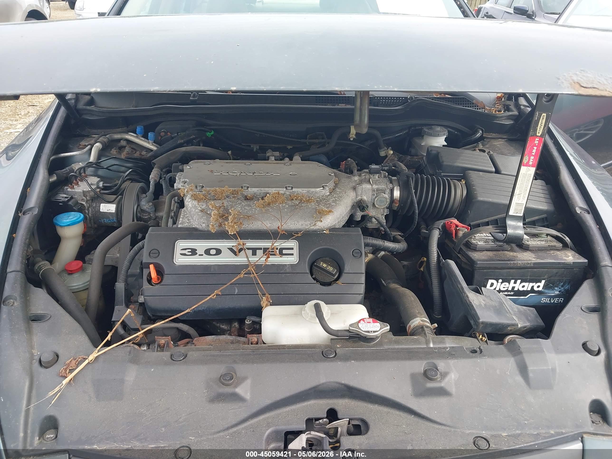 HONDA ACCORD image 10