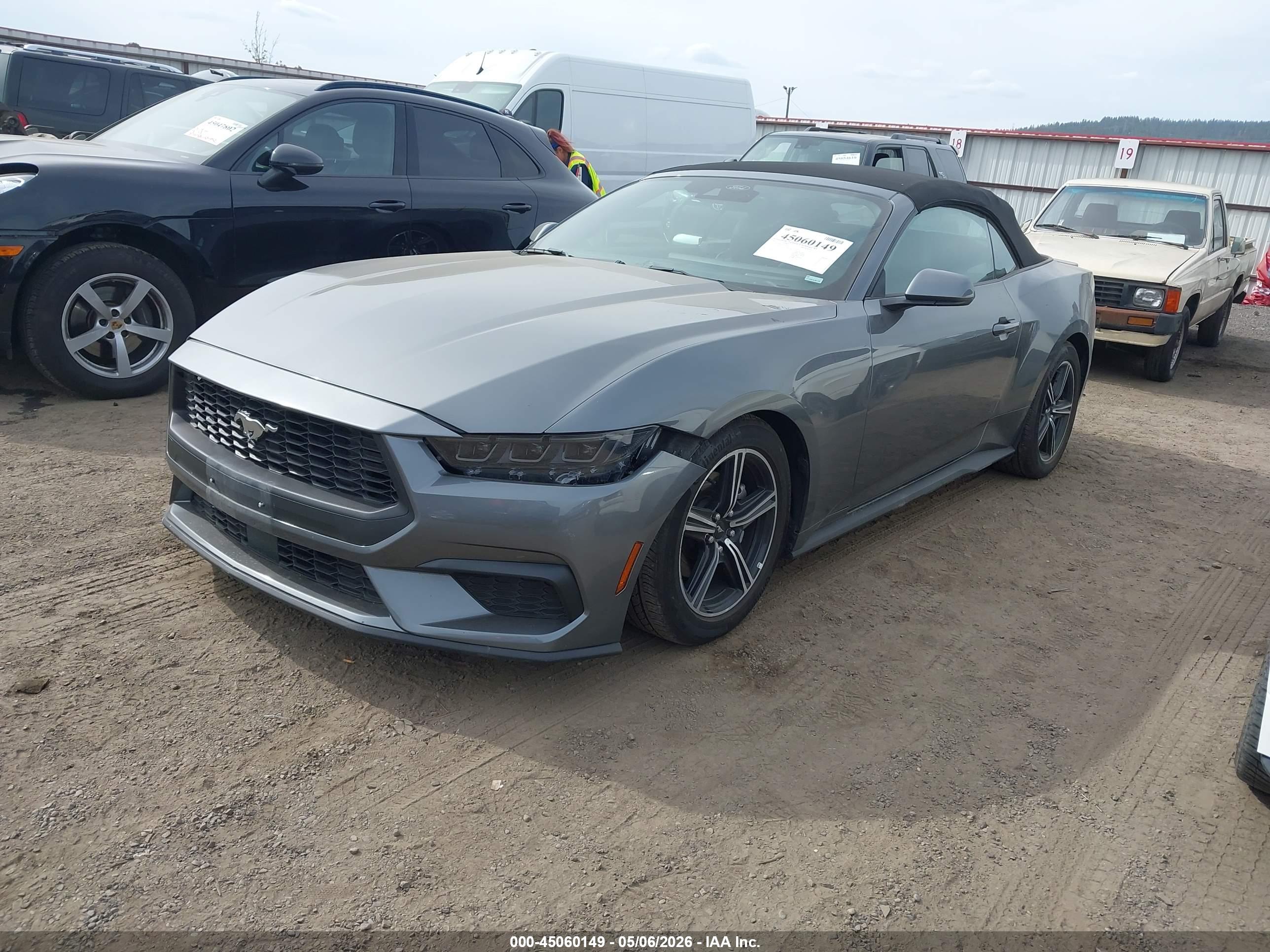FORD MUSTANG image 2