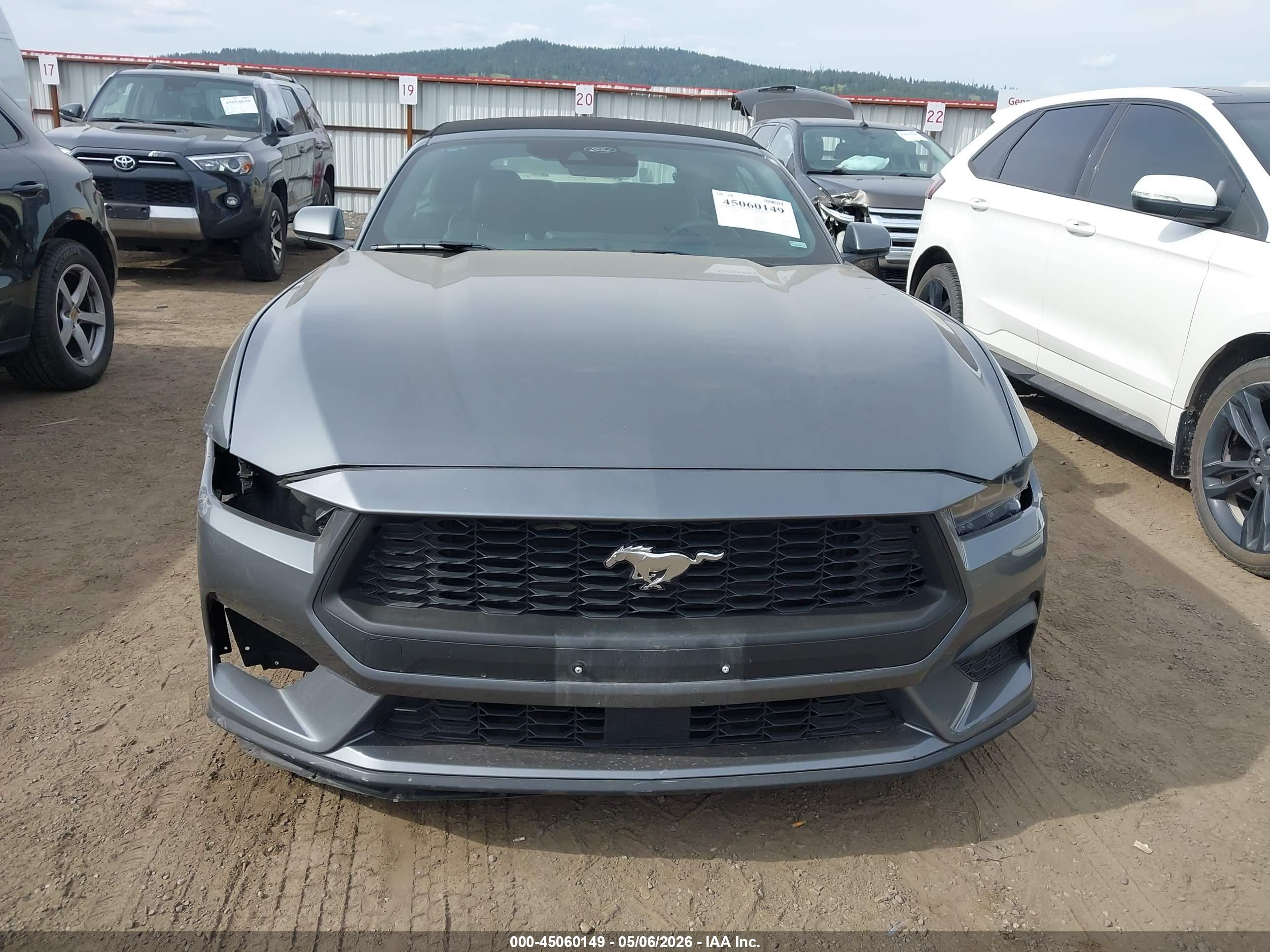 FORD MUSTANG image 6