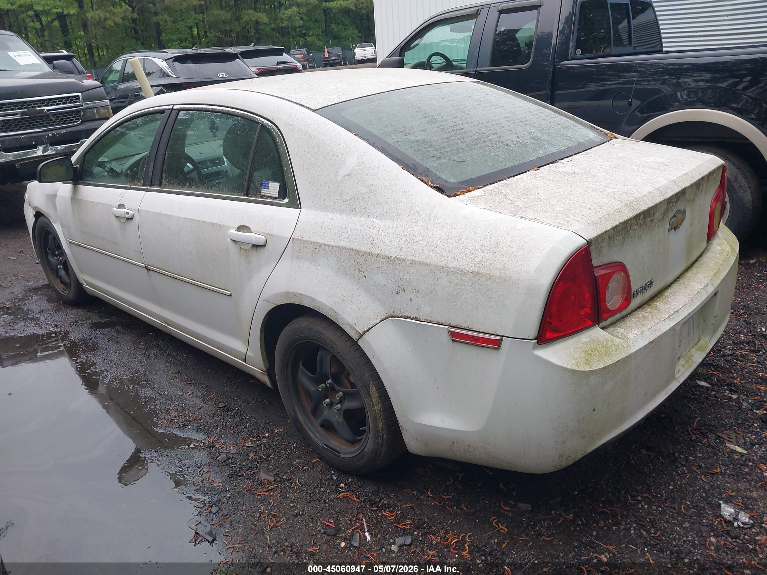 CHEVROLET MALIBU image 3