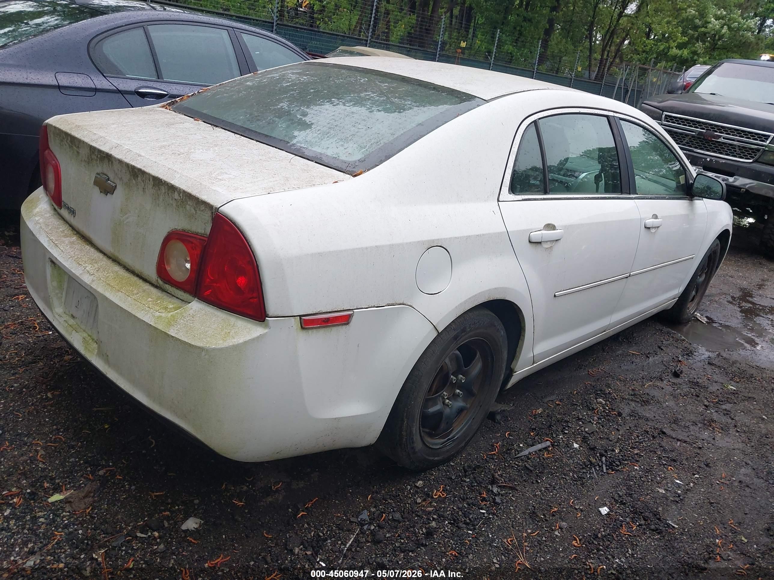 CHEVROLET MALIBU image 4