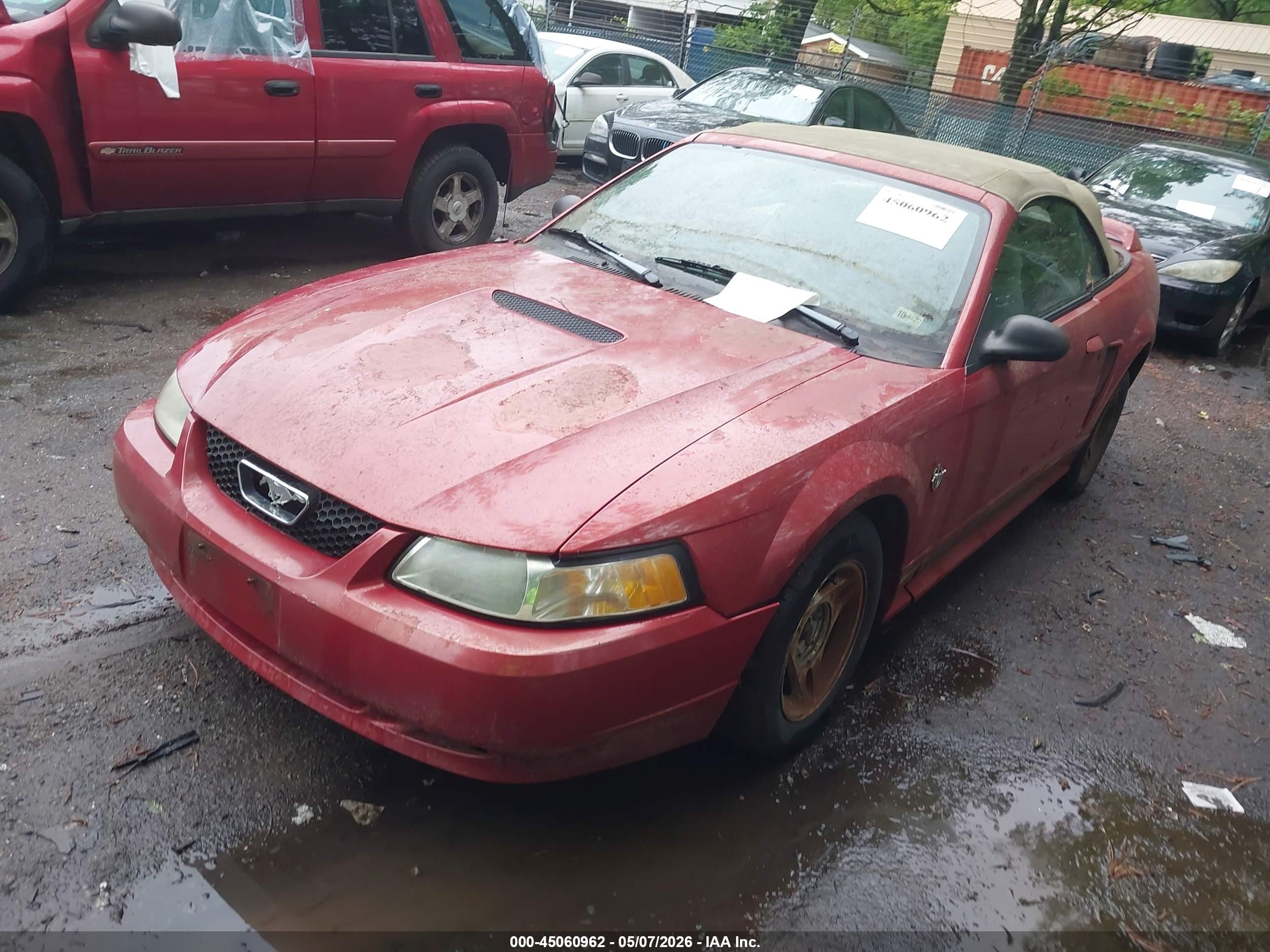 FORD MUSTANG image 2