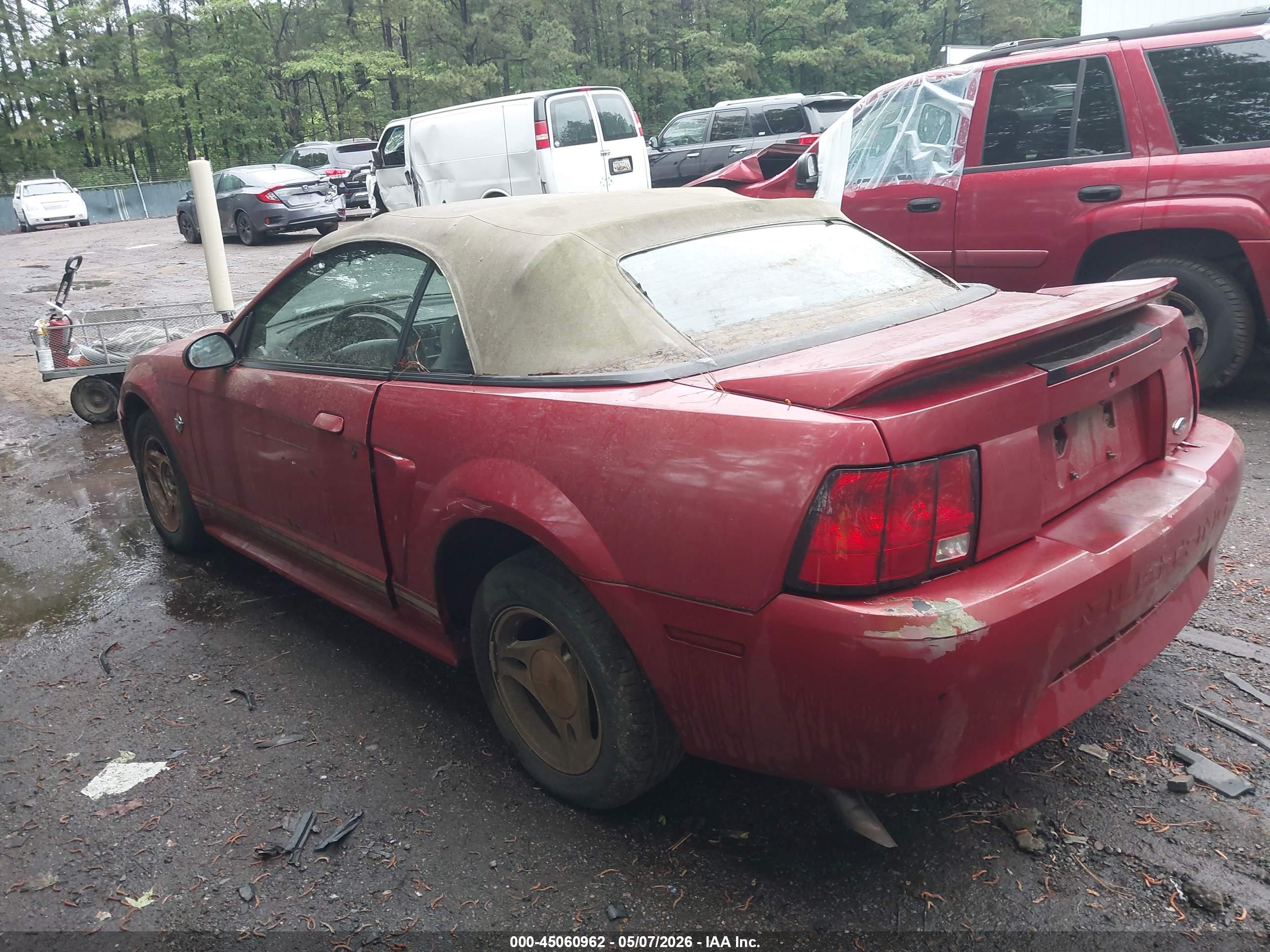 FORD MUSTANG image 3