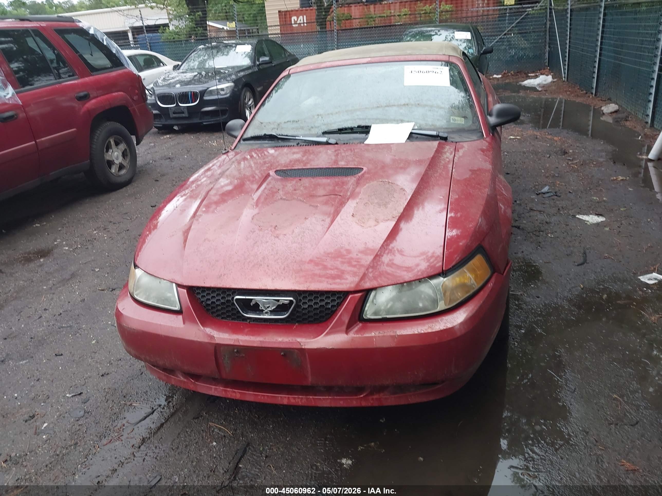 FORD MUSTANG image 6