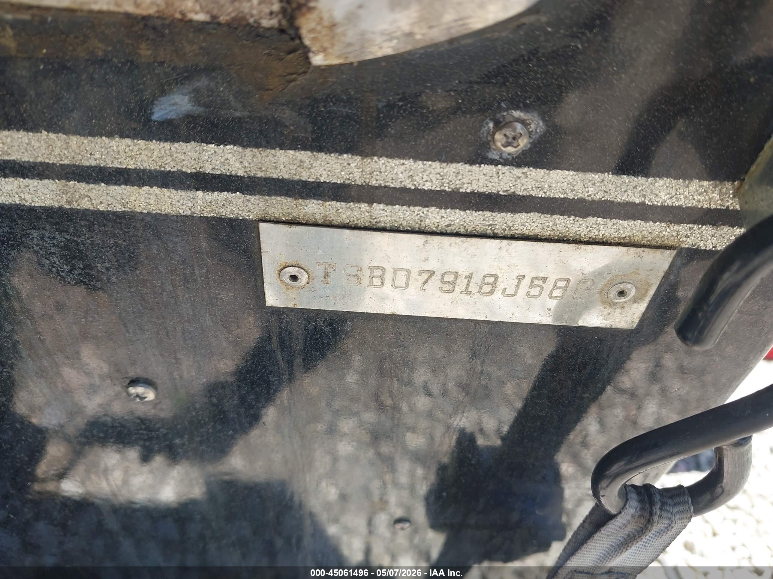 CHAMPION BASS image 9