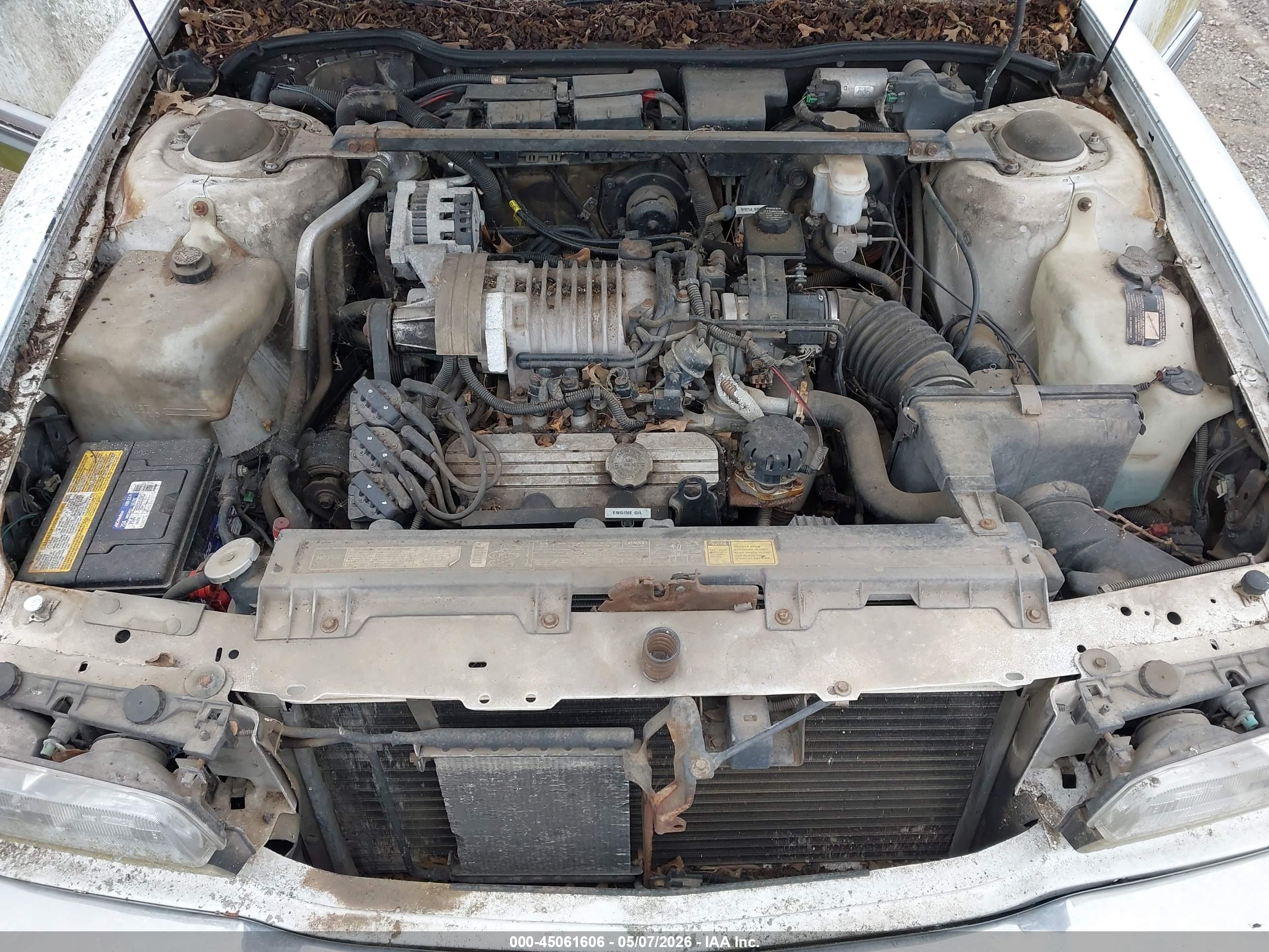 BUICK PARK image 10