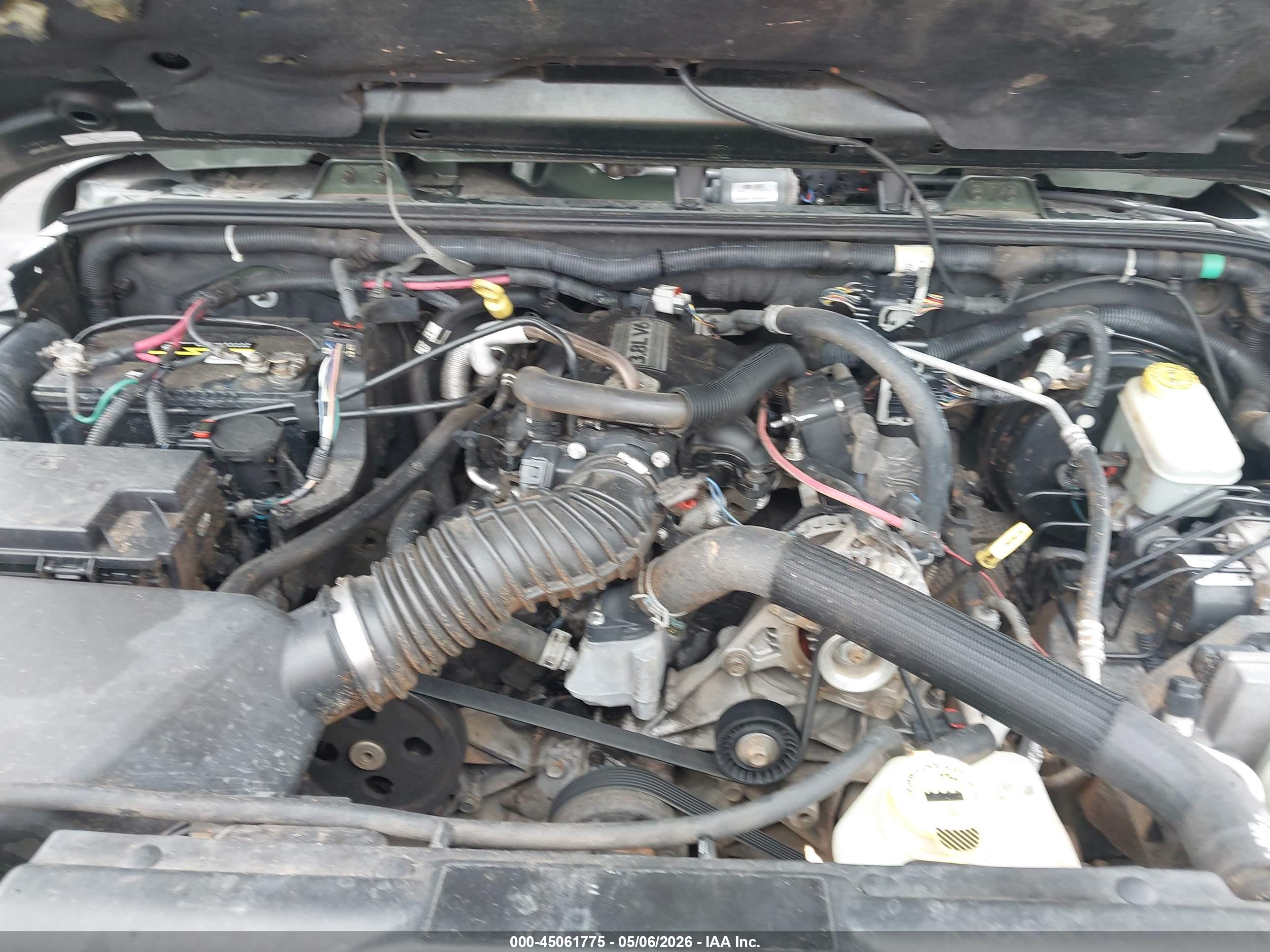JEEP WRANGLER image 10