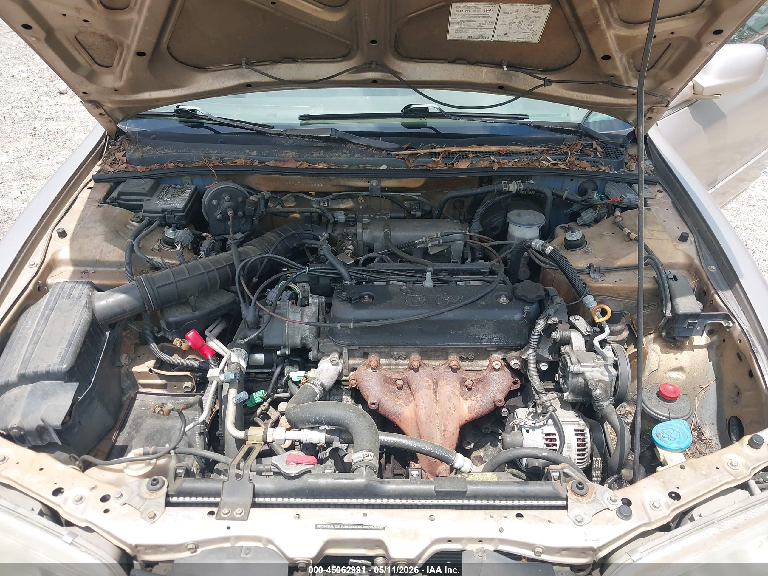HONDA ACCORD image 10