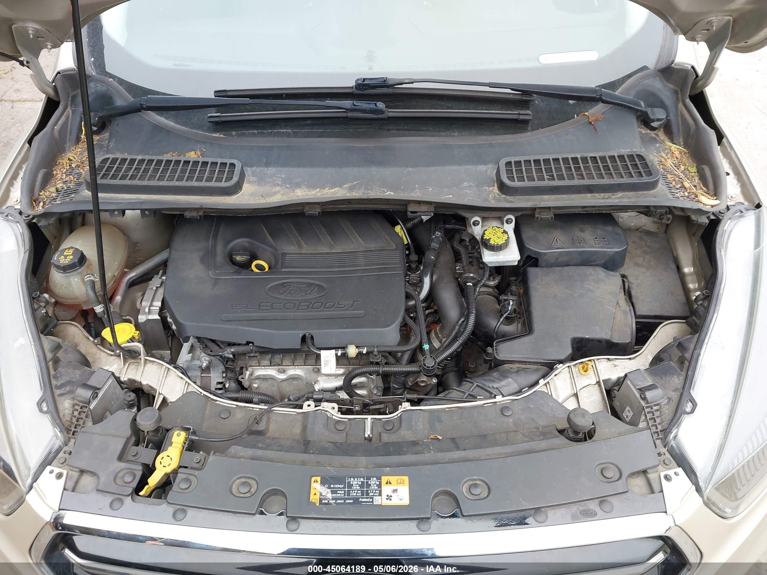 FORD ESCAPE image 10