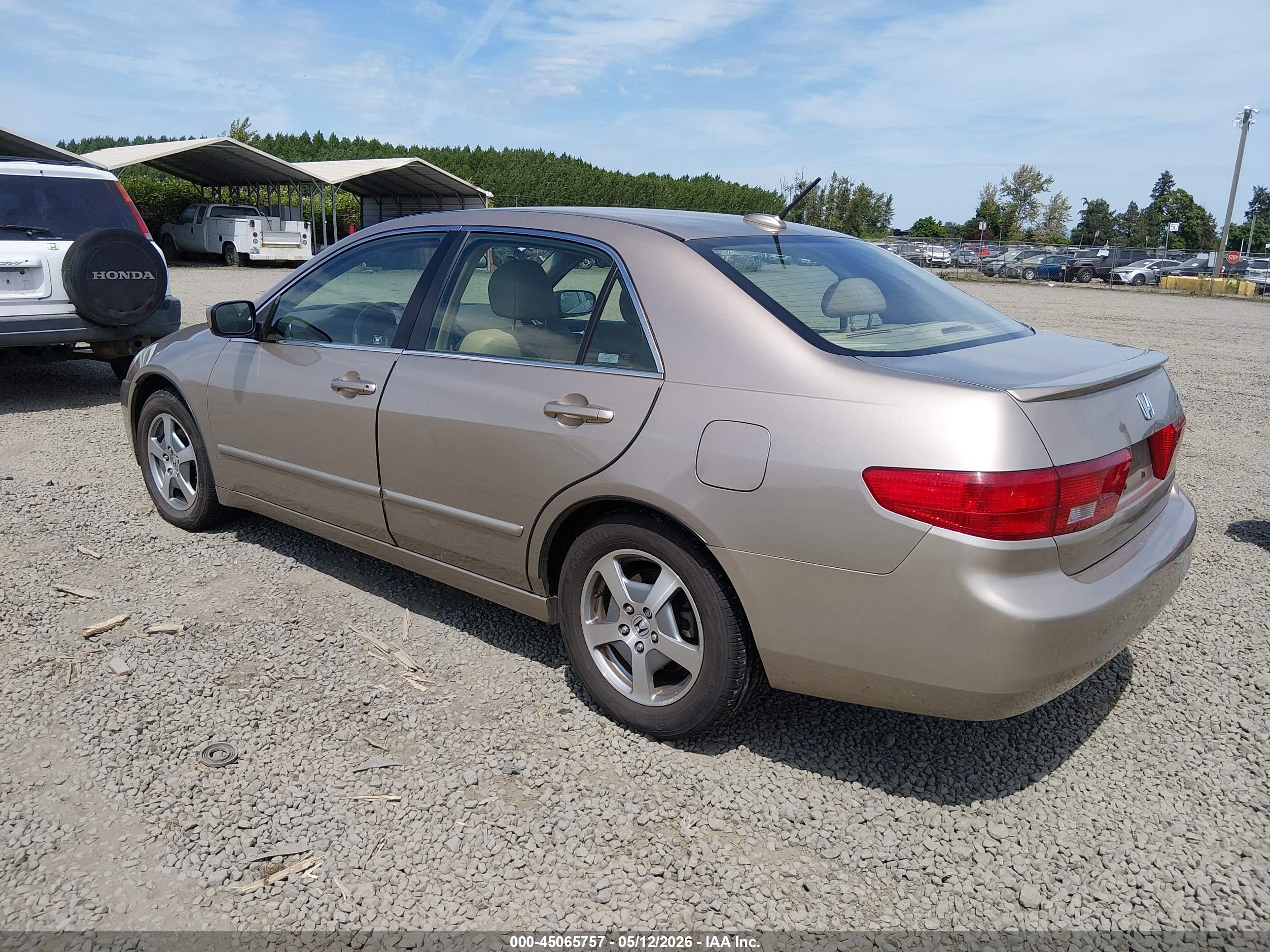 HONDA ACCORD image 3