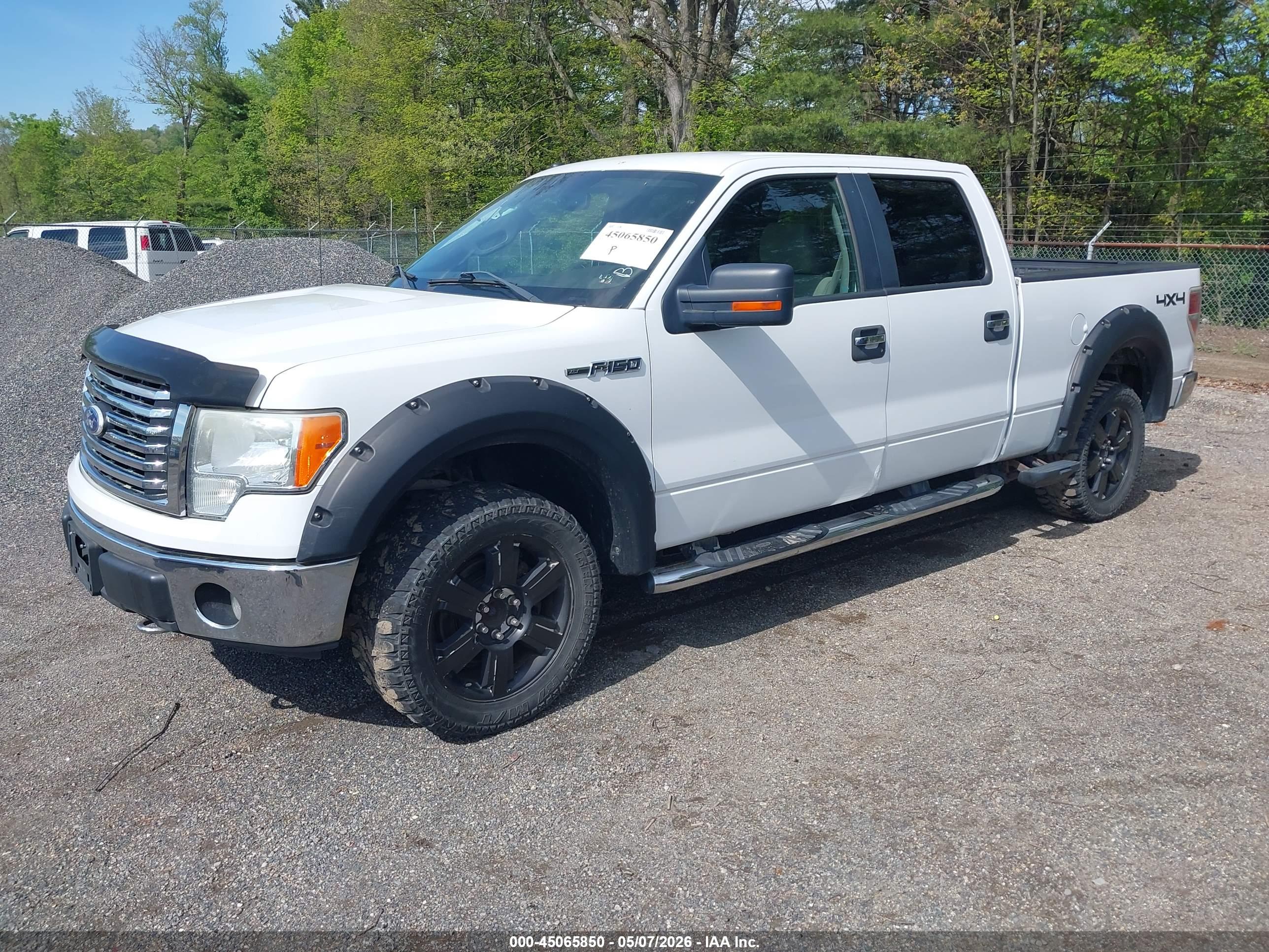 FORD F-150 image 2