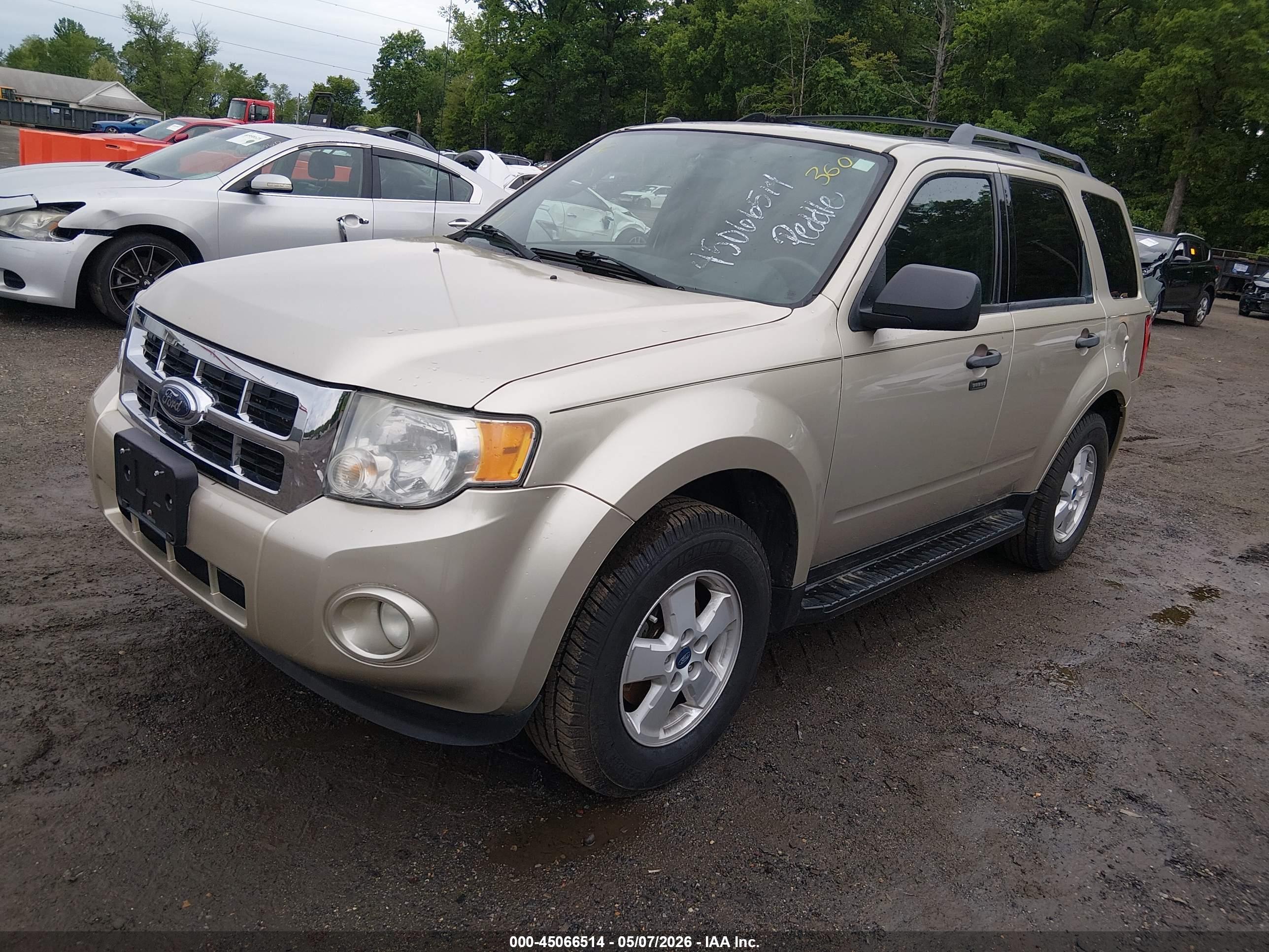 FORD ESCAPE image 2