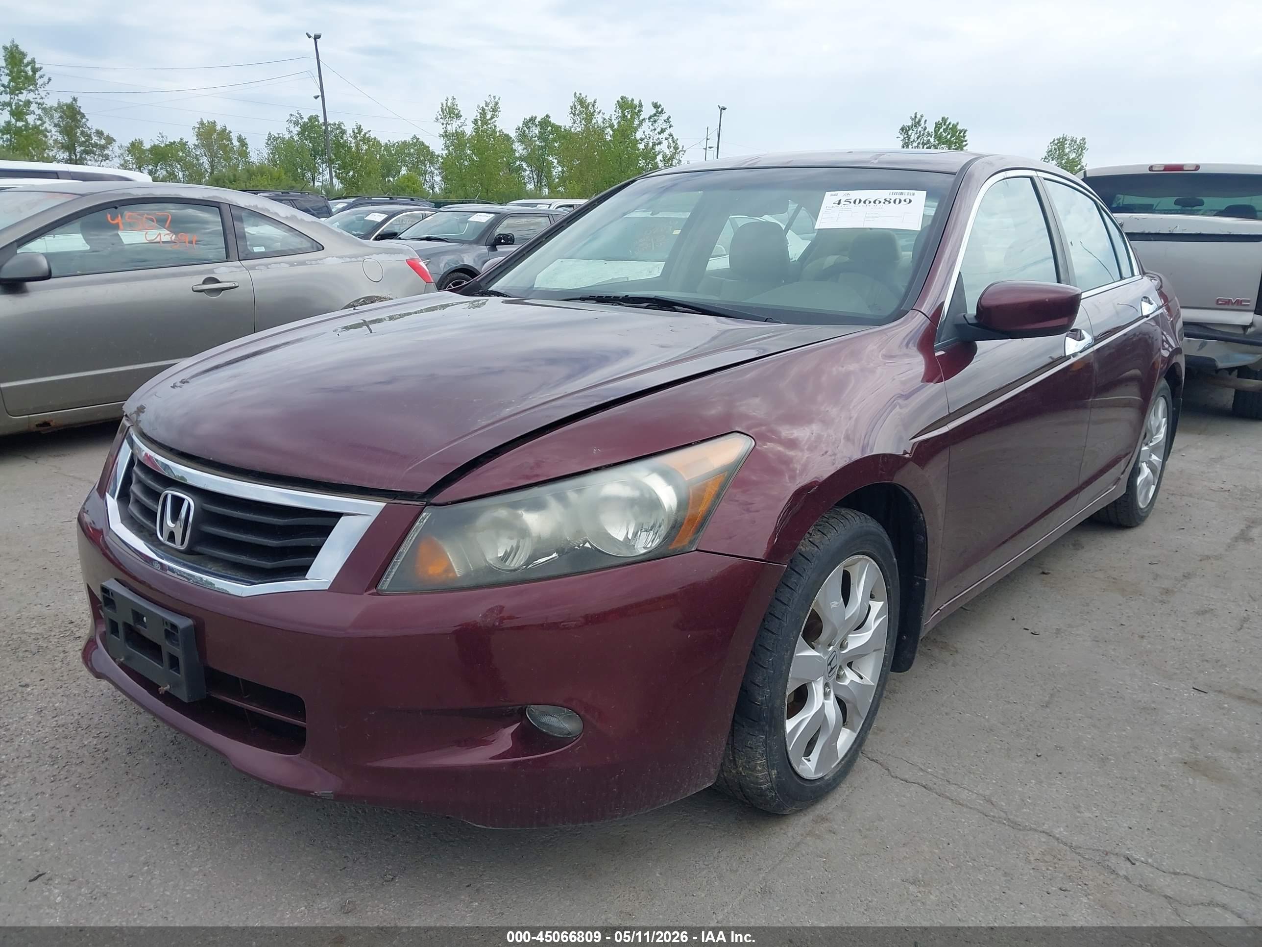 HONDA ACCORD image 2