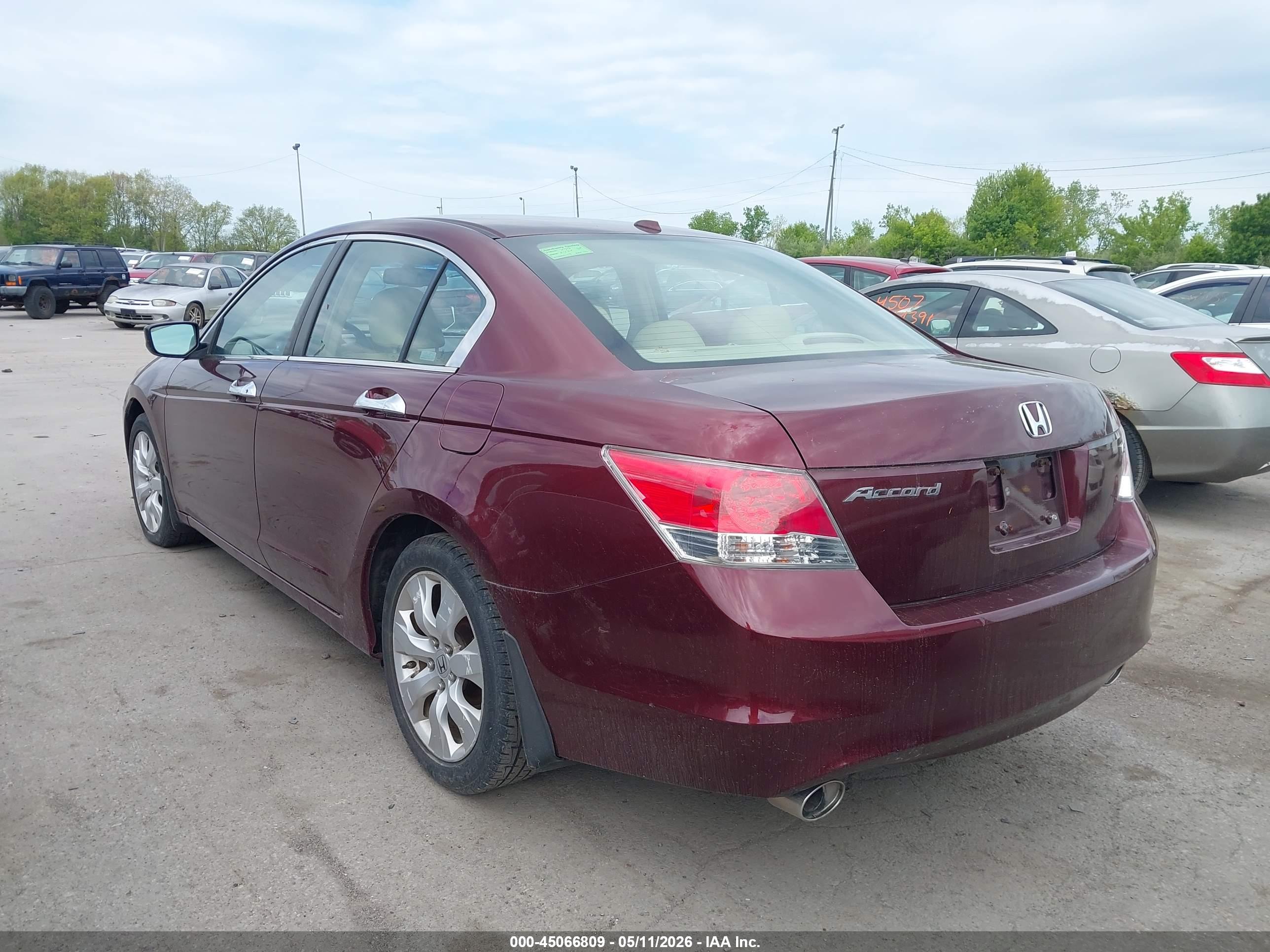 HONDA ACCORD image 3
