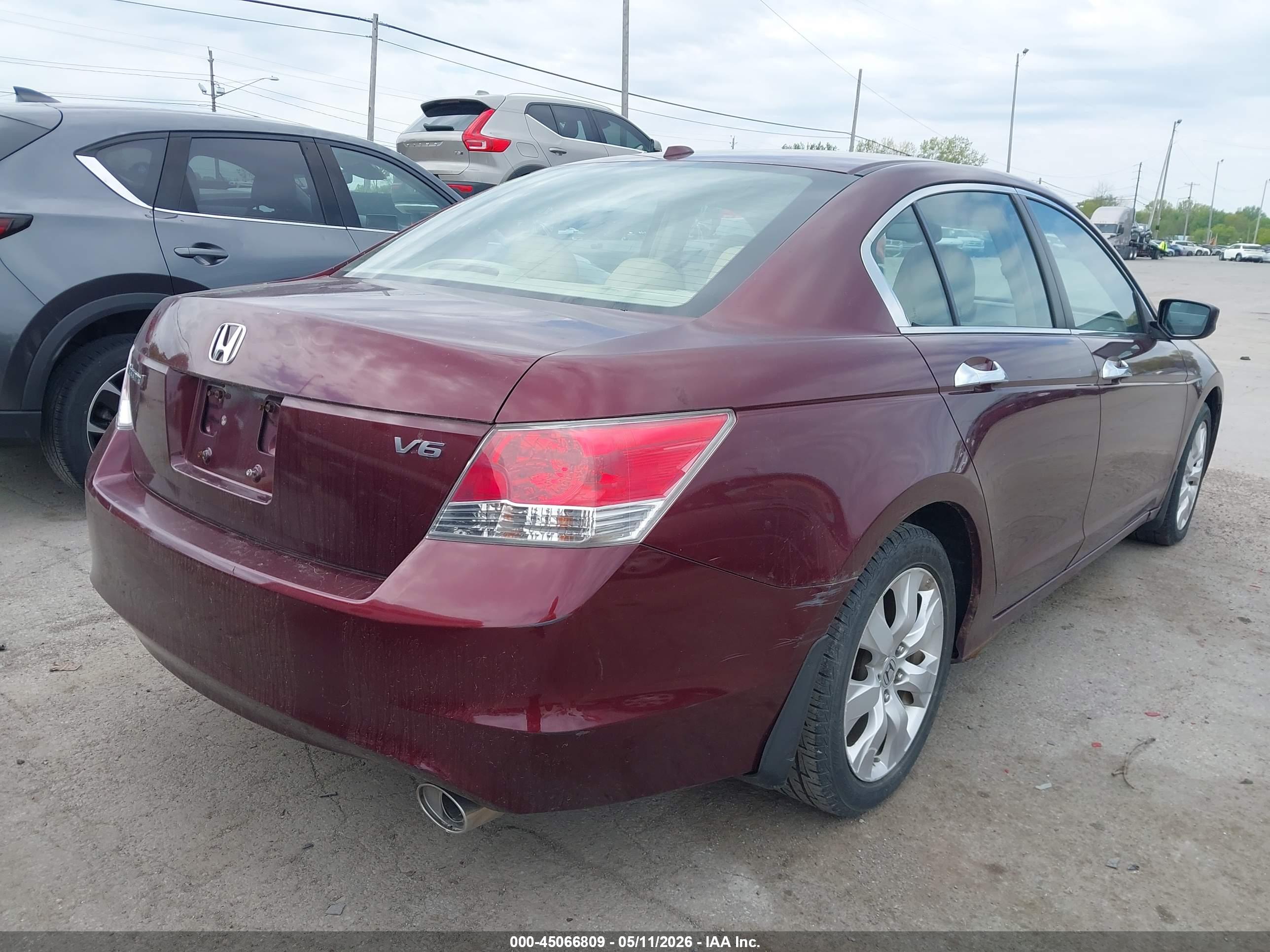HONDA ACCORD image 4