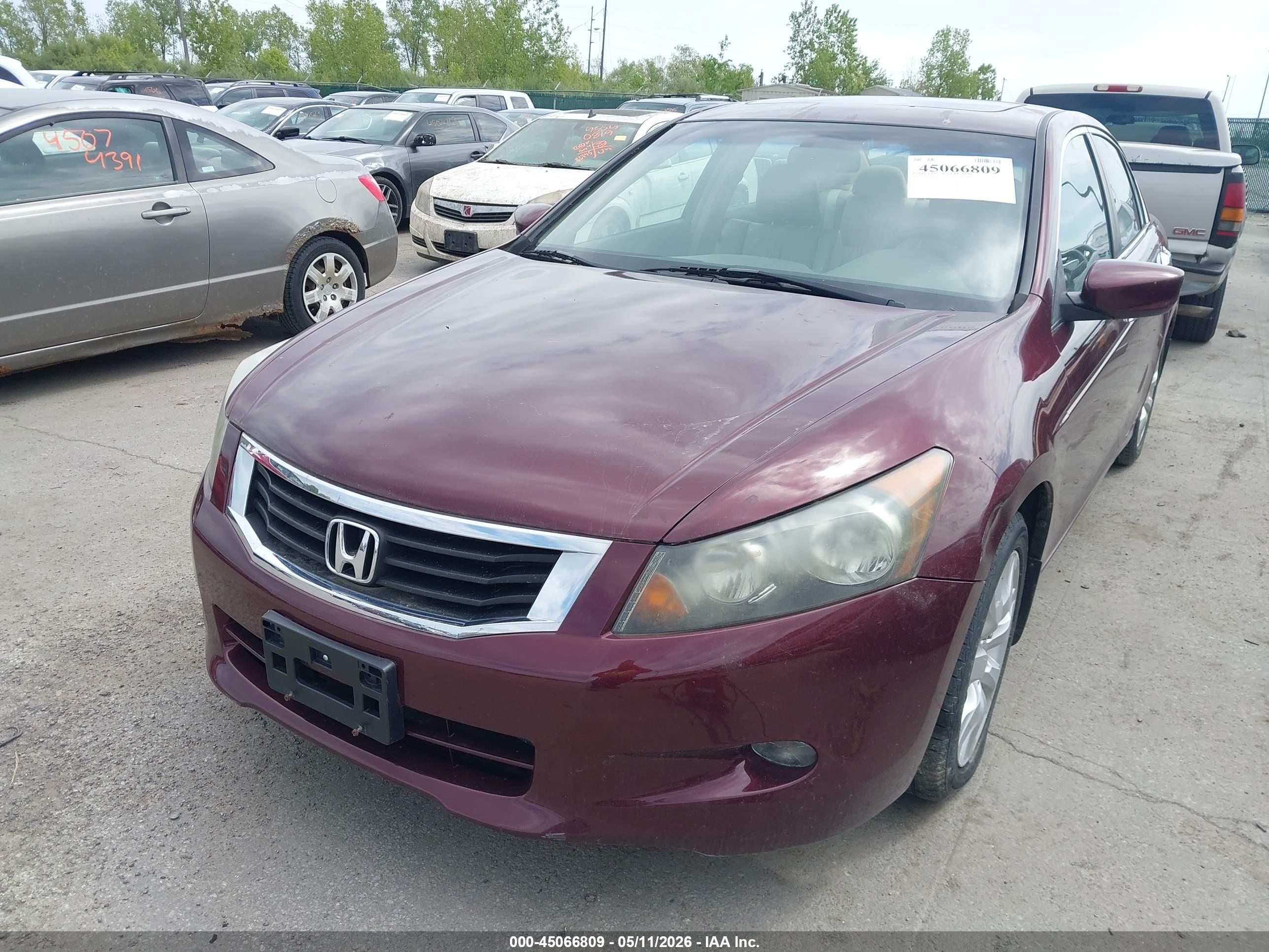 HONDA ACCORD image 6