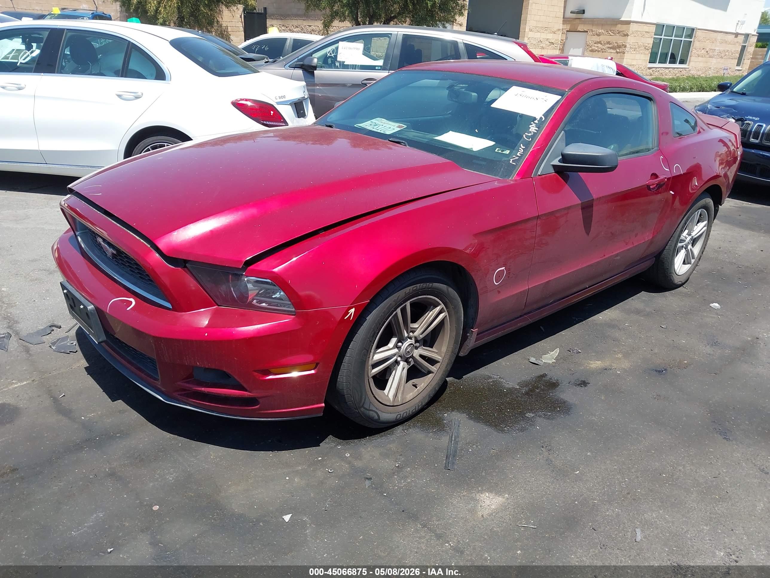 FORD MUSTANG image 2
