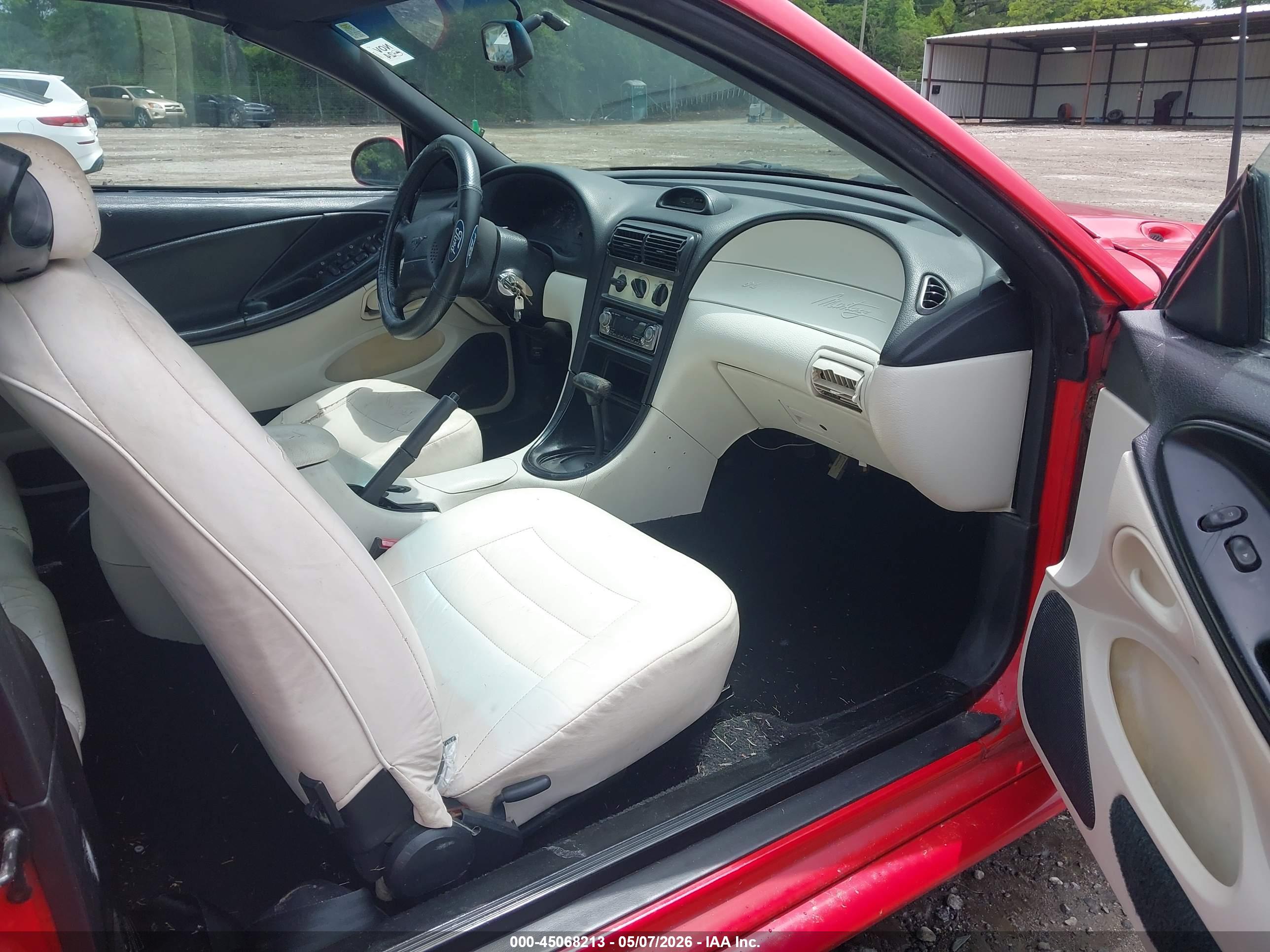 FORD MUSTANG image 5