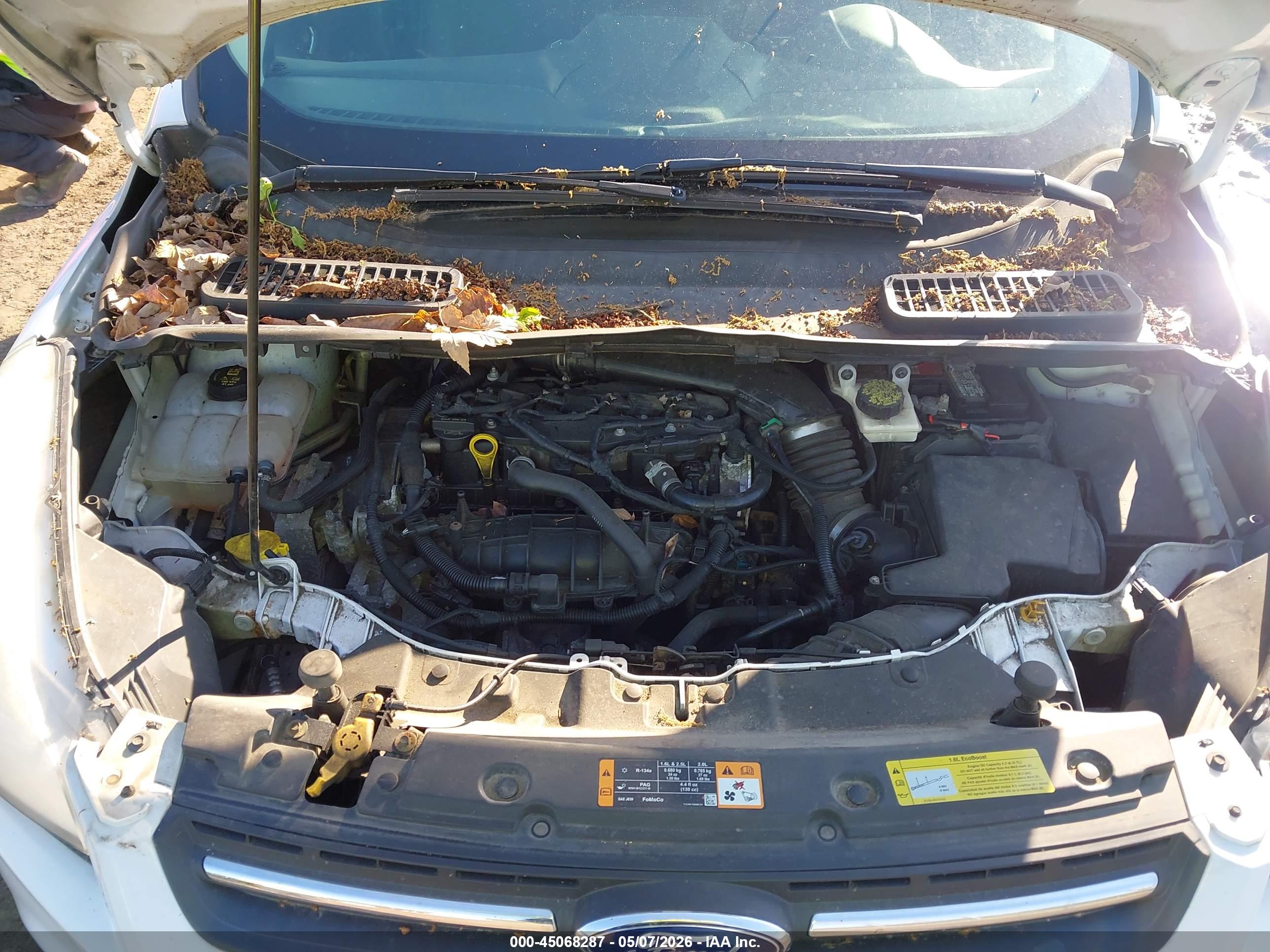 FORD ESCAPE image 10